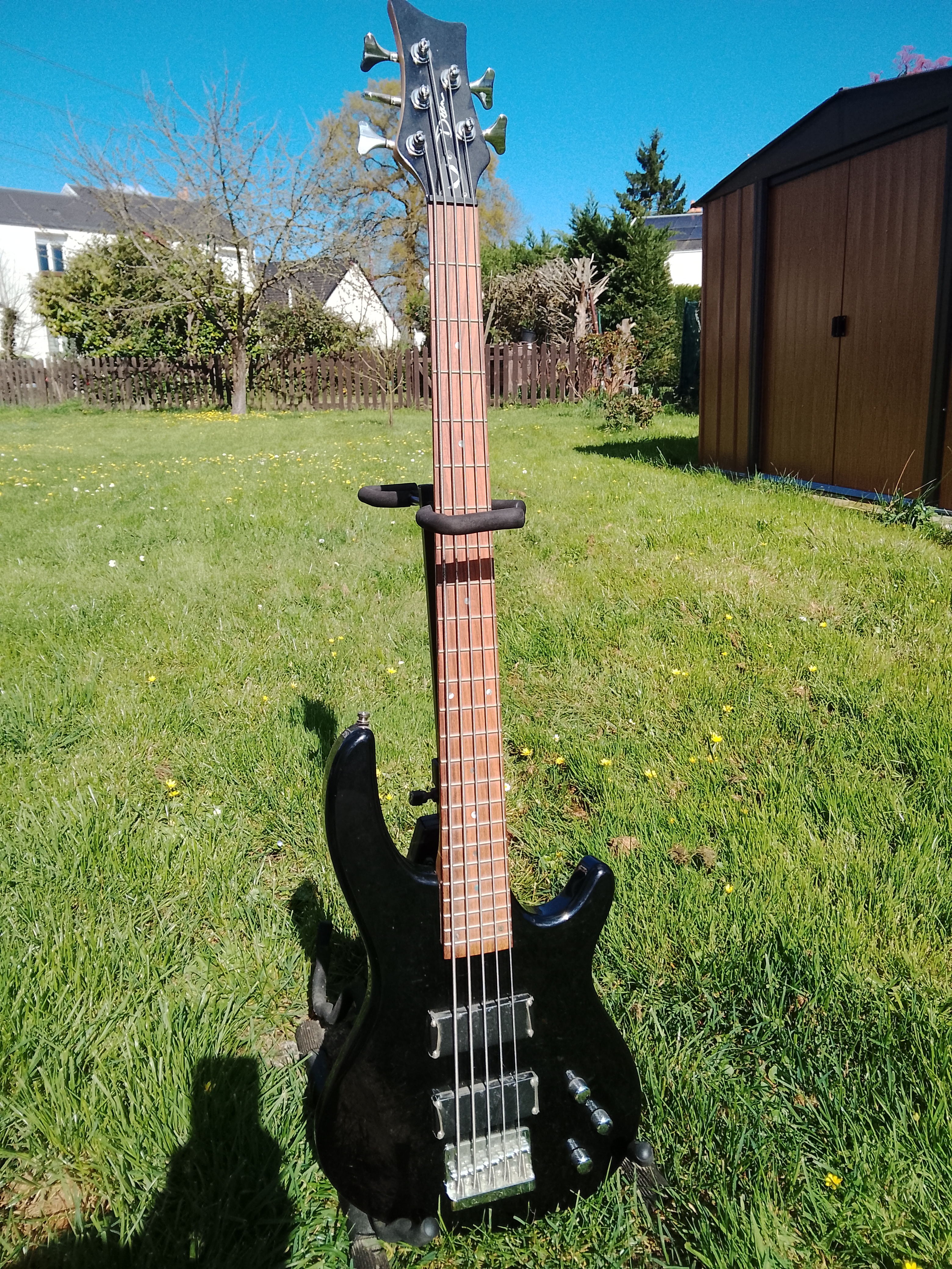 Basse 5 cordes Dean Edge