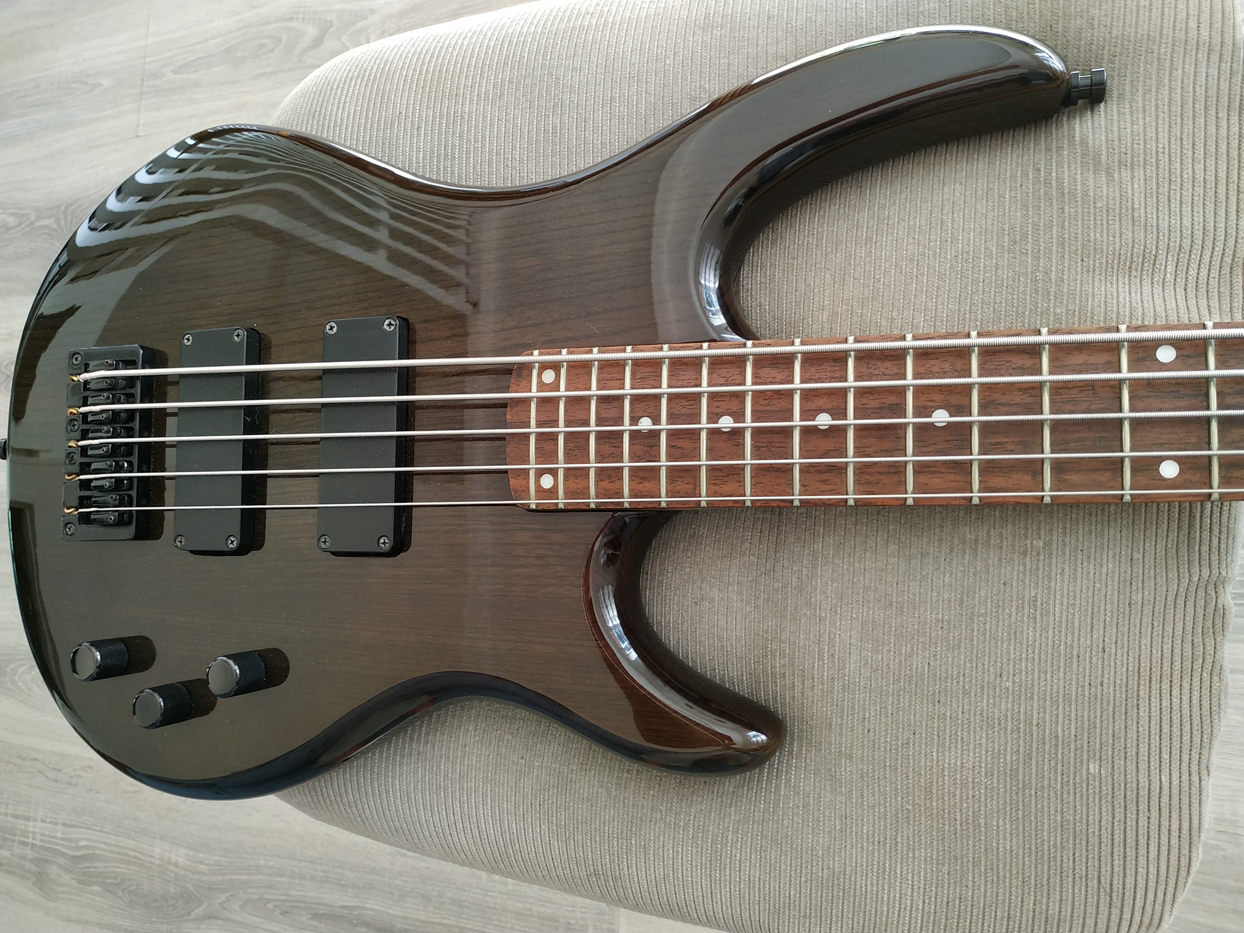 Basse 5 cordes Epiphone Embassy Standard V