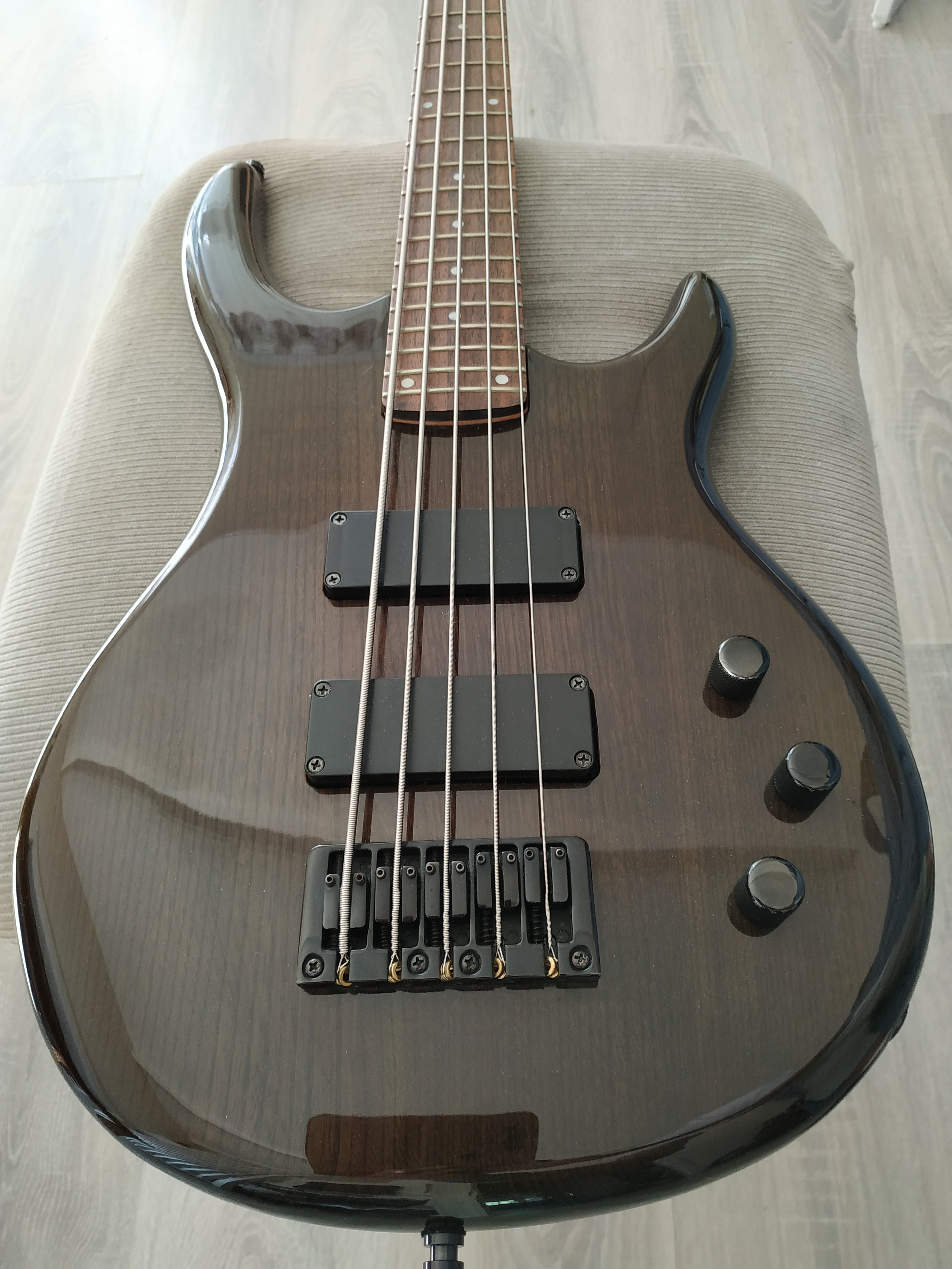 Epiphone Embassy Standard-V (5972)