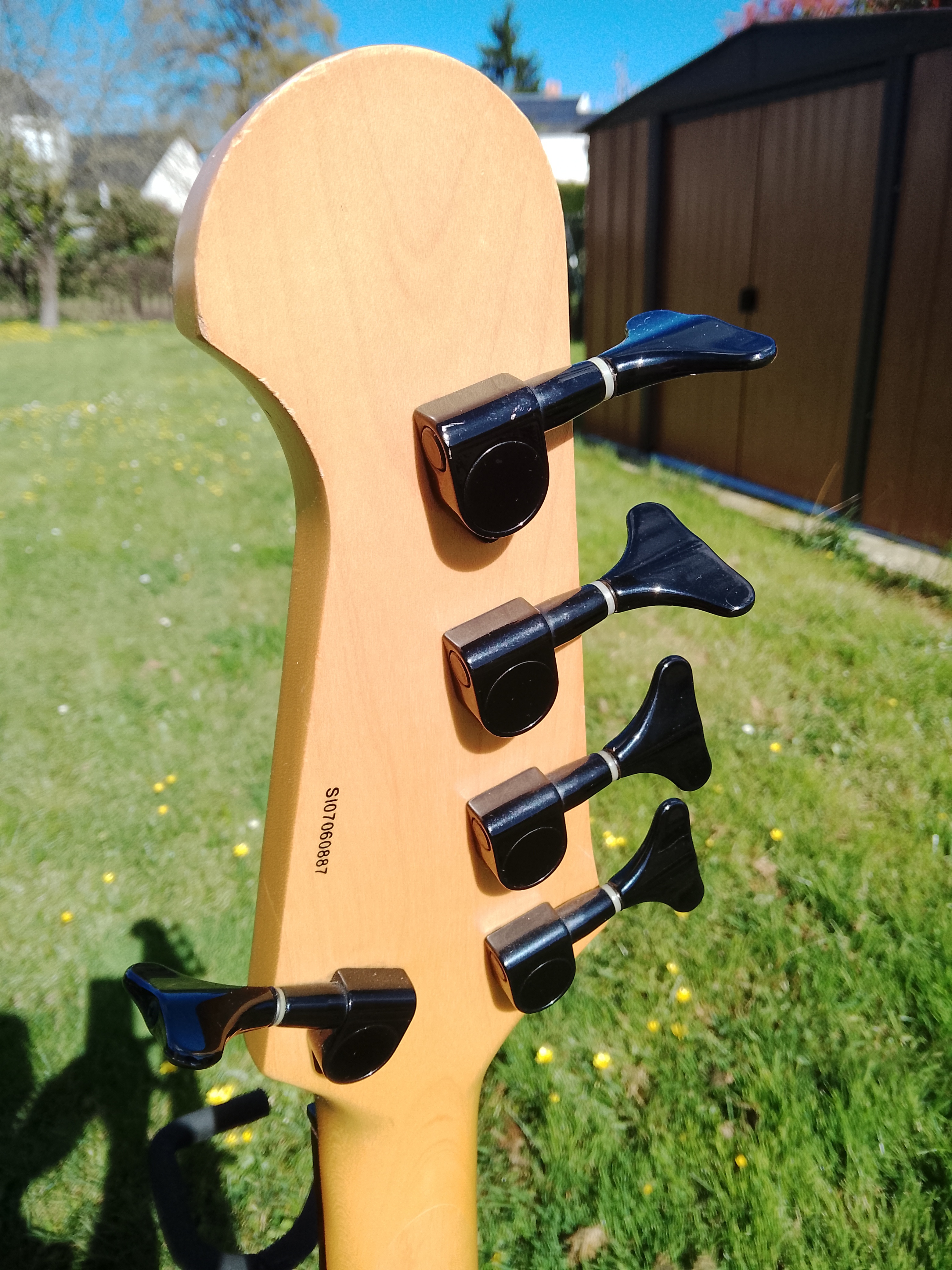 Epiphone Embassy Standard-V (24491)