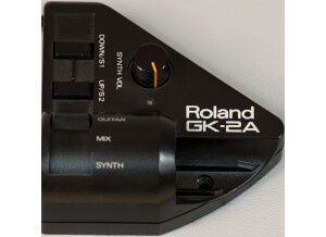 Roland GR-1 (57842)