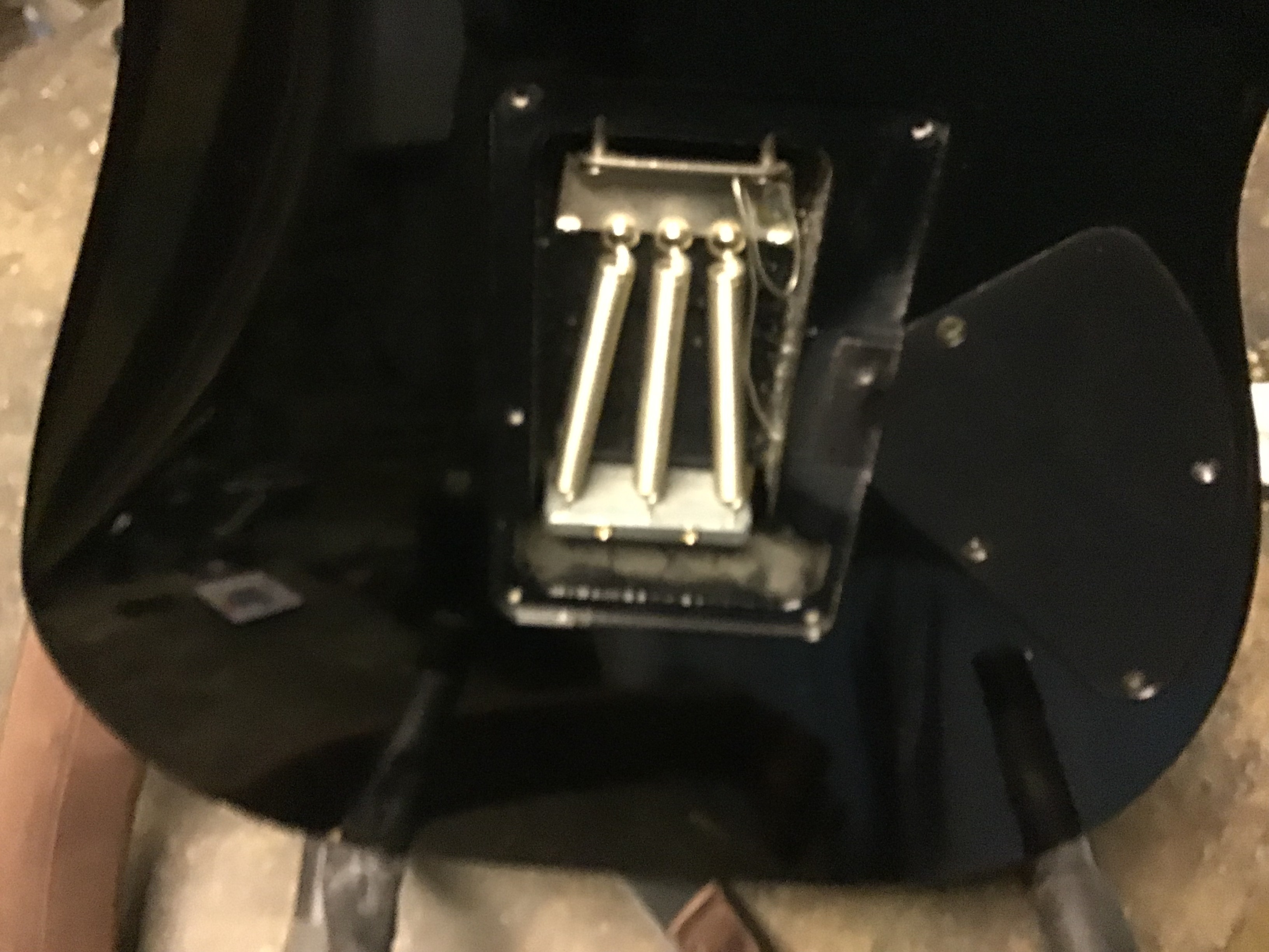 IMG 1635