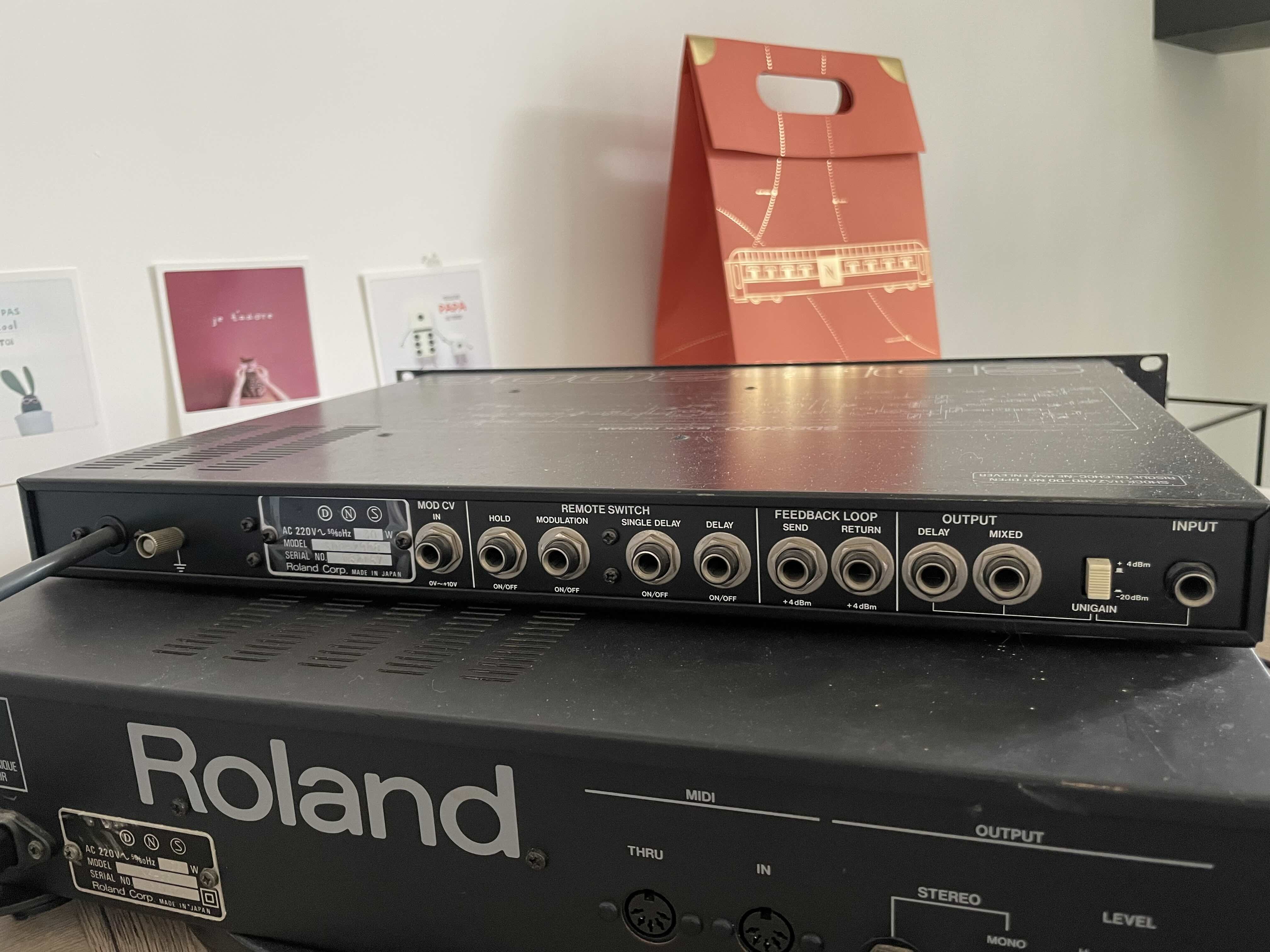 Roland SDE-2000 - Digital Delay Vintage