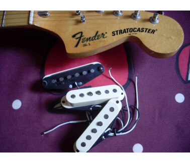 Fender Pickup / Micro / Humbucker / Single Coil