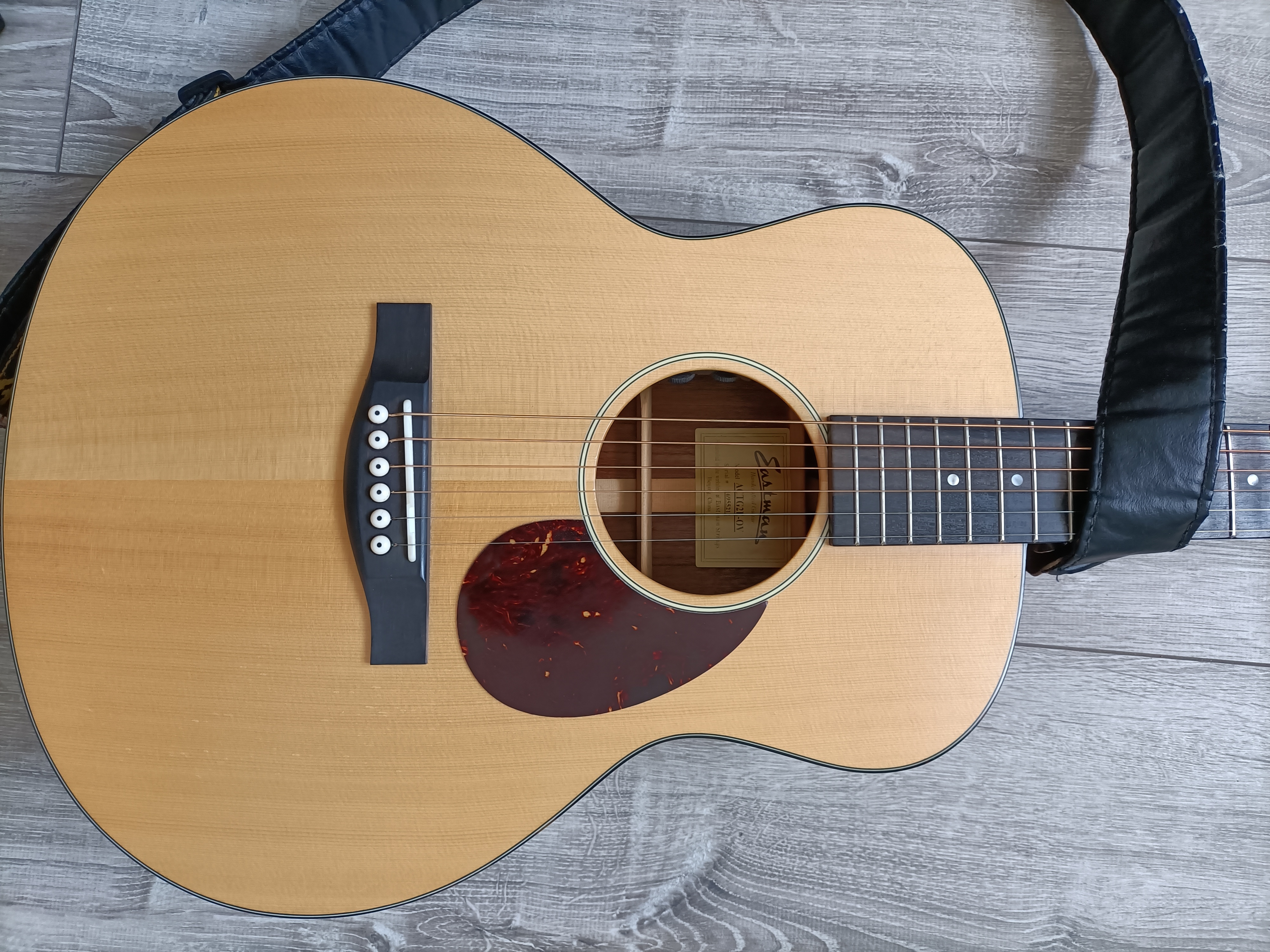 Eastman ACTG-2E