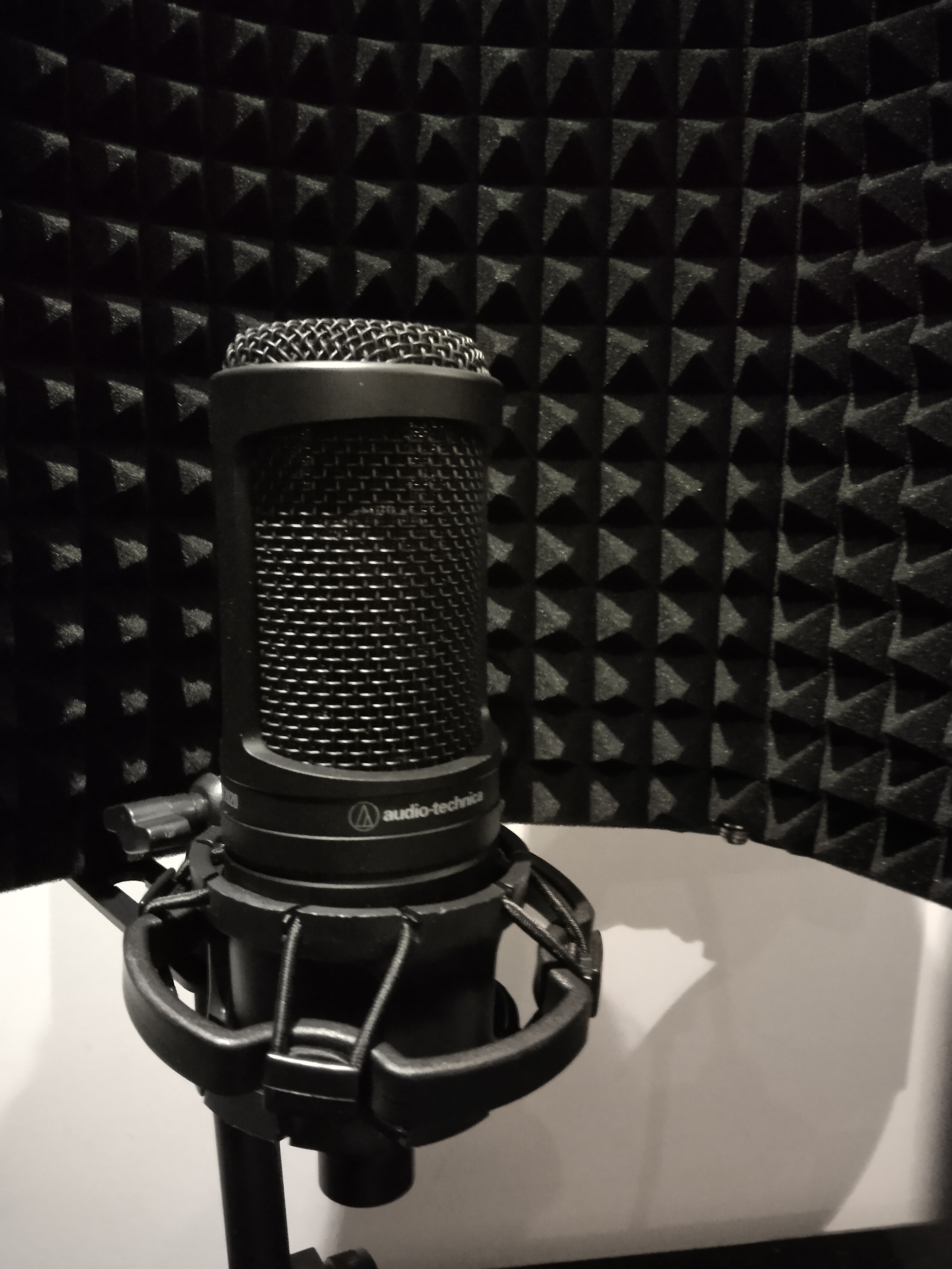 Audio-Technica AT2020