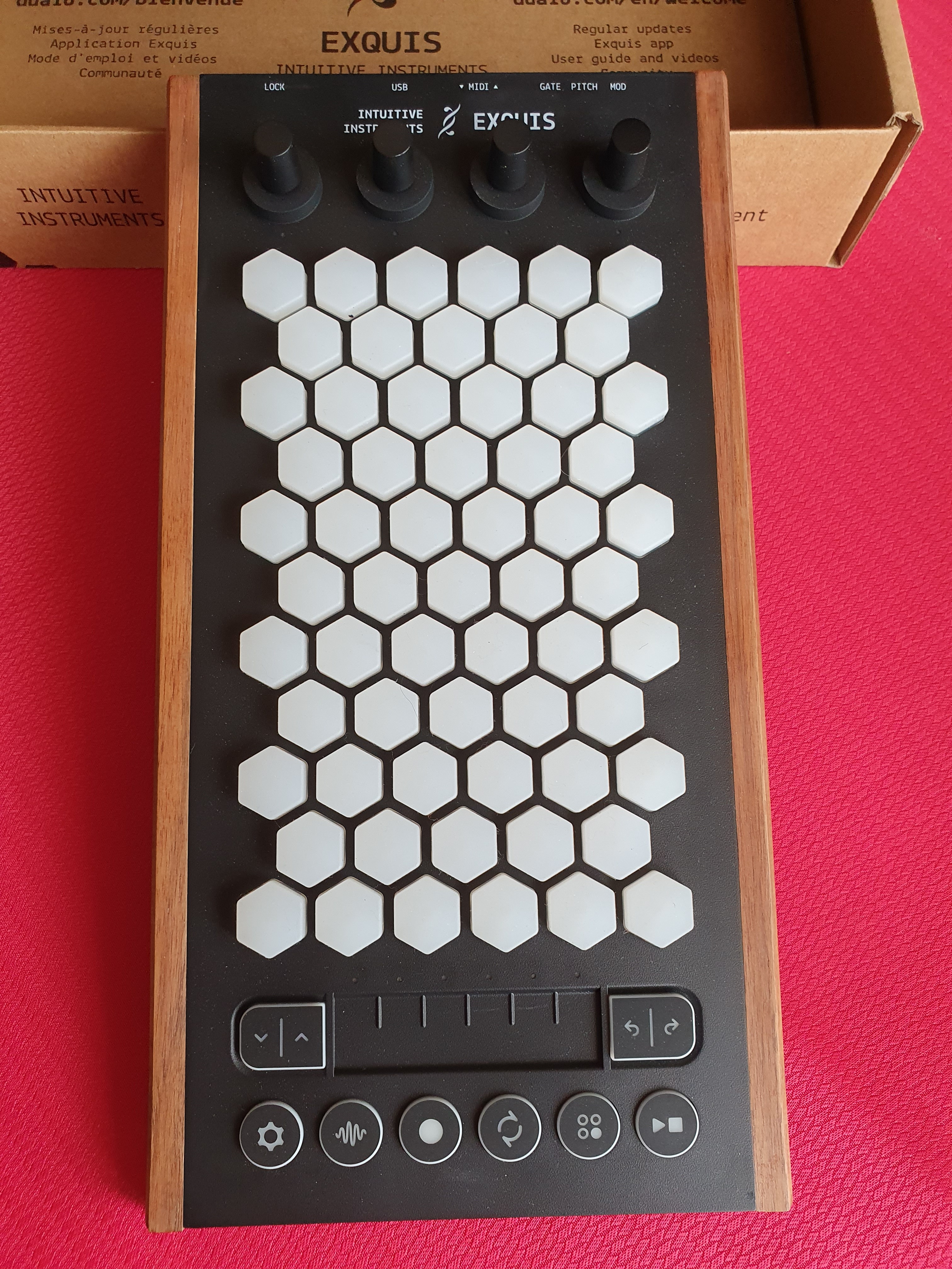 Exquis vue 2 (vue de l'instrument)
