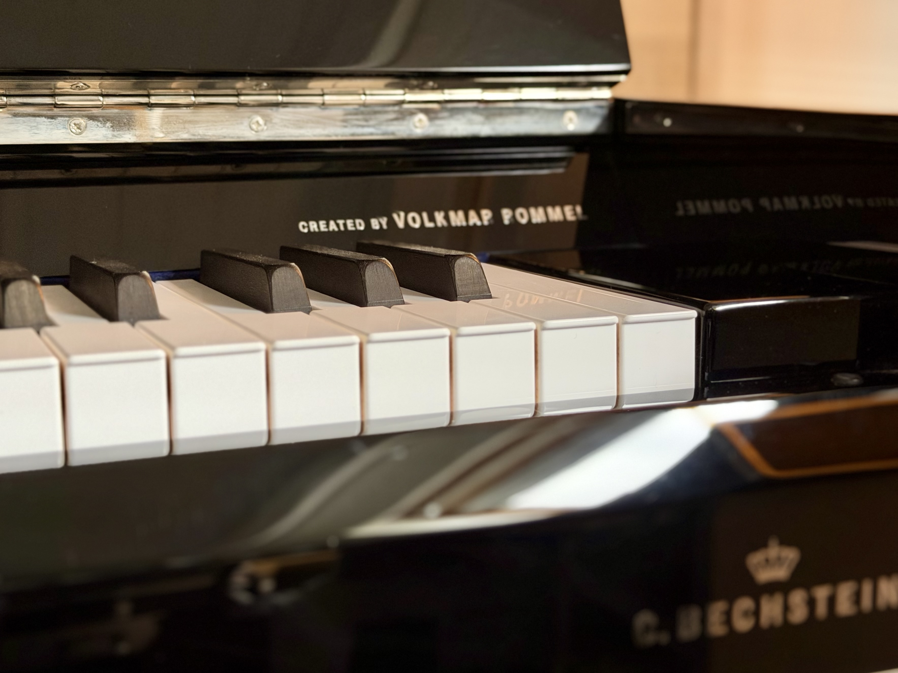 Bechstein Millenium 116 (31858)
