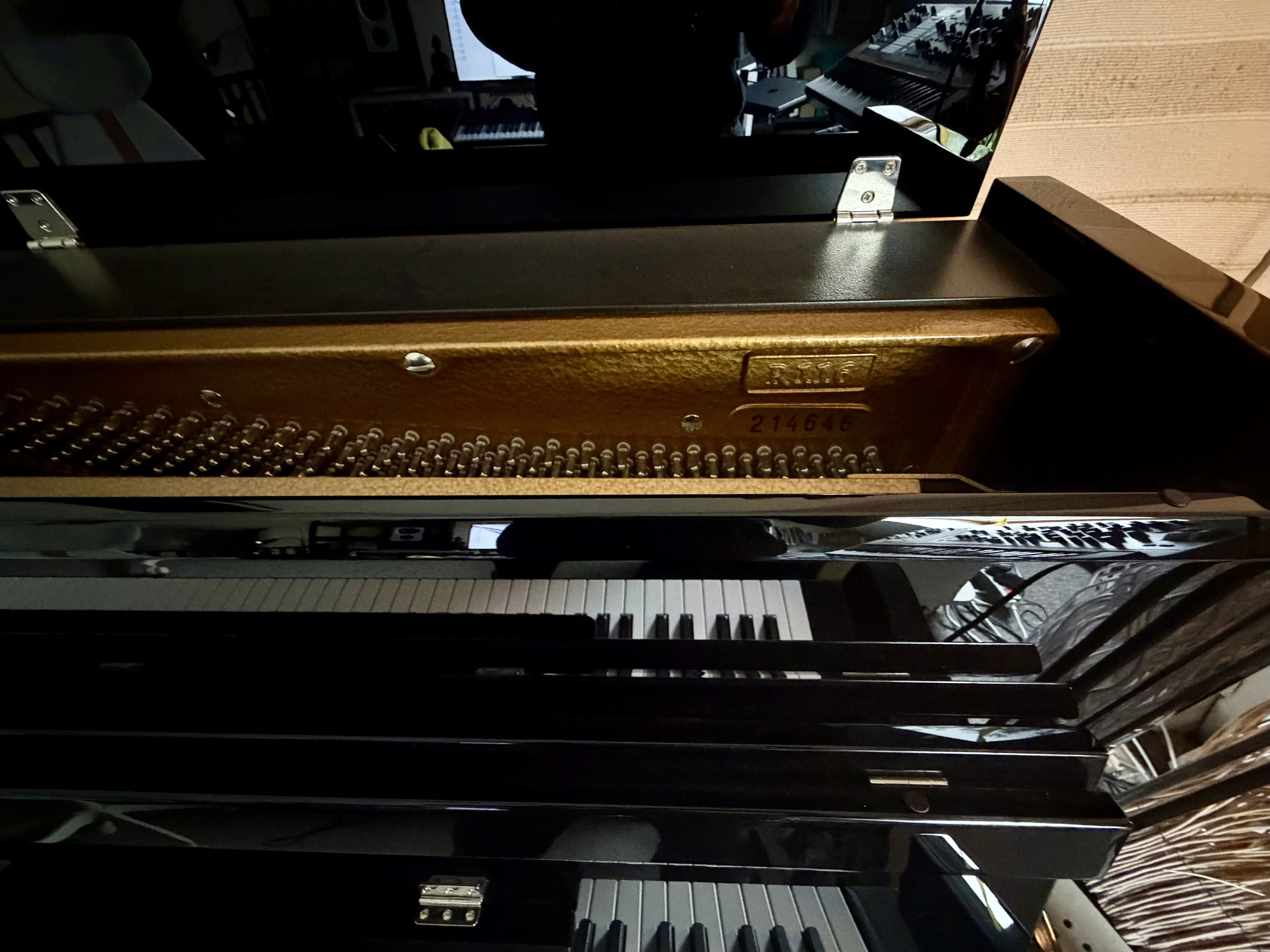 Bechstein Millenium 116 (95349)