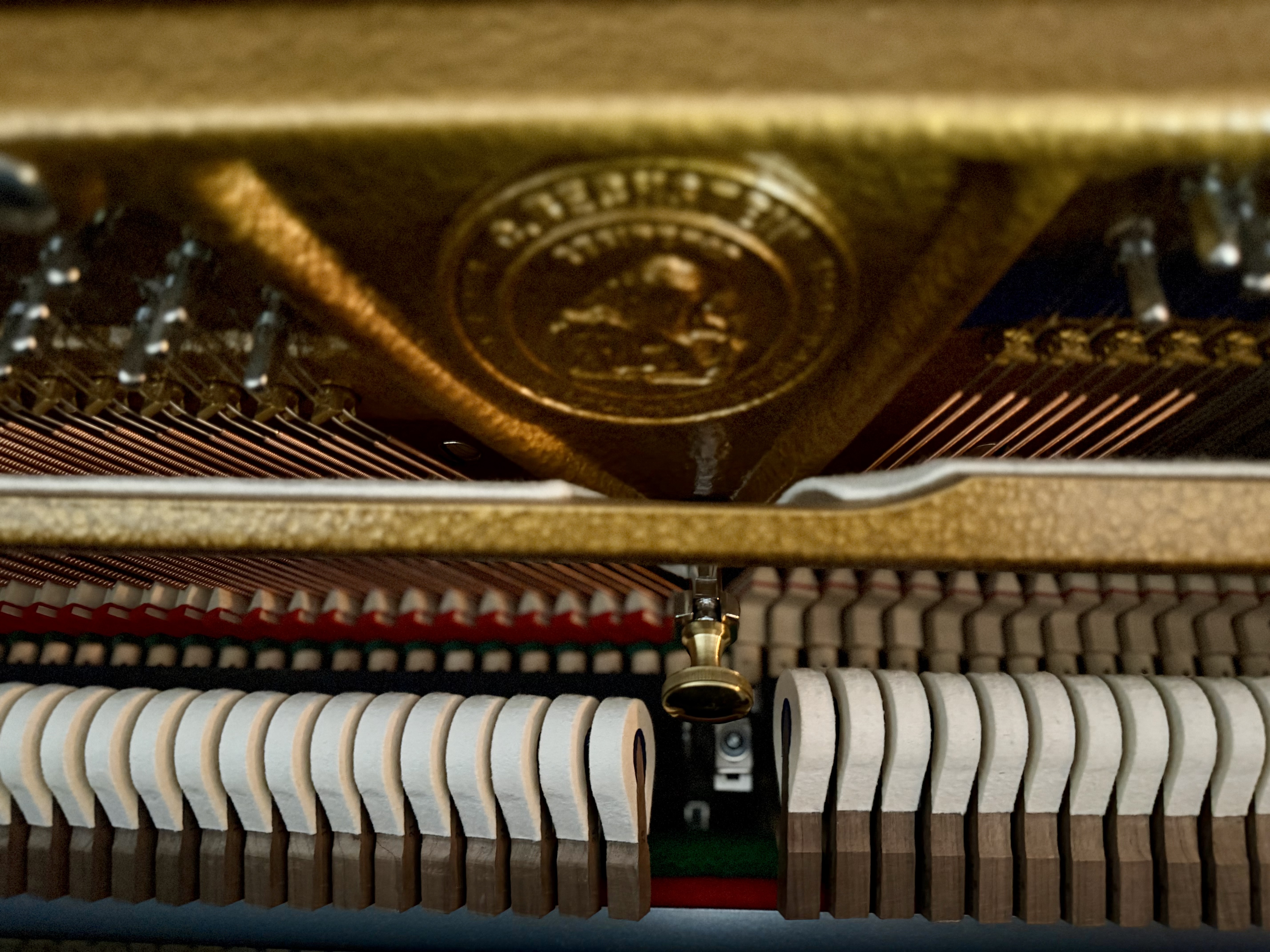 Bechstein Millenium 116 (62232)