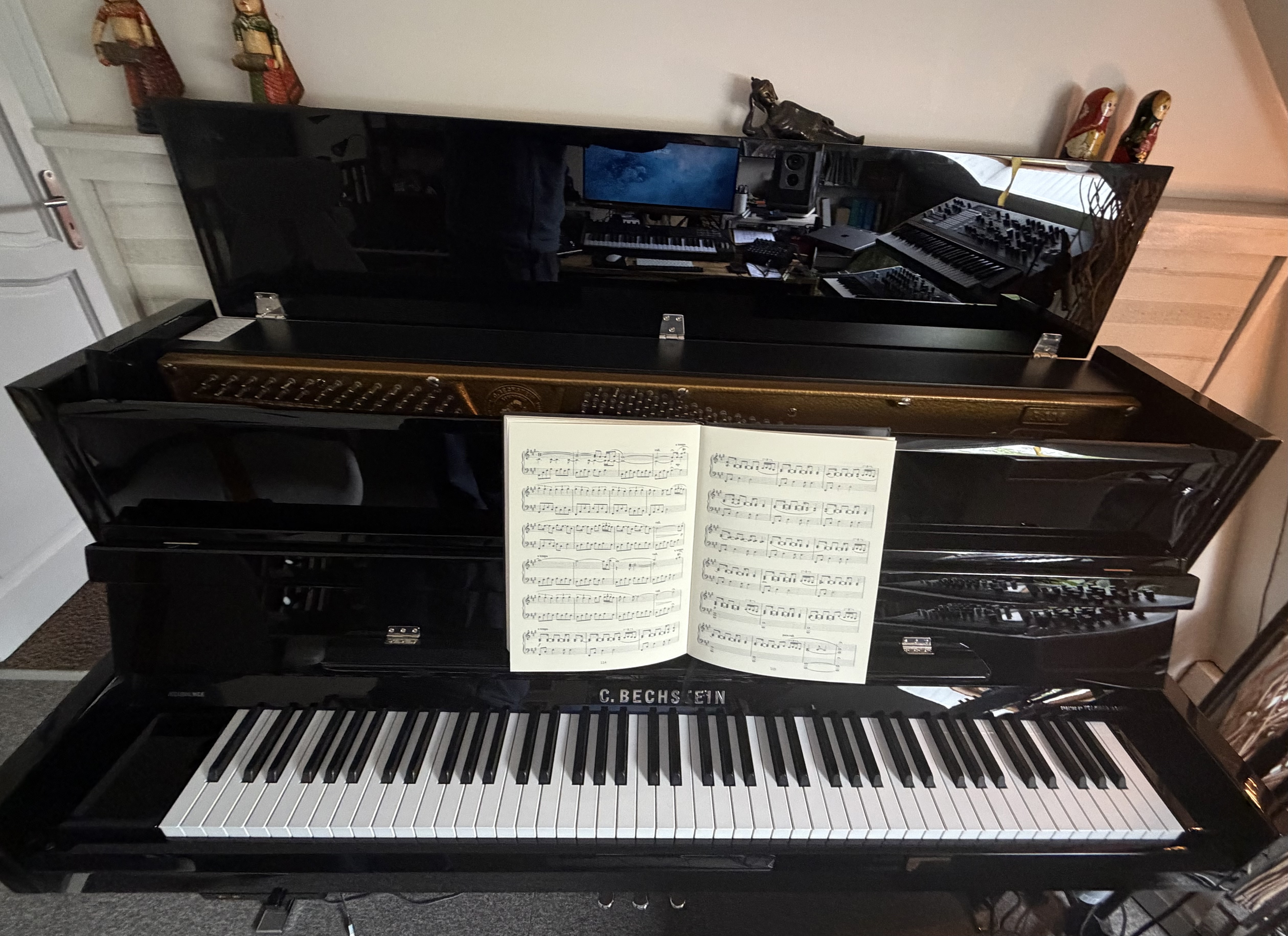 Bechstein Millenium 116 (42126)