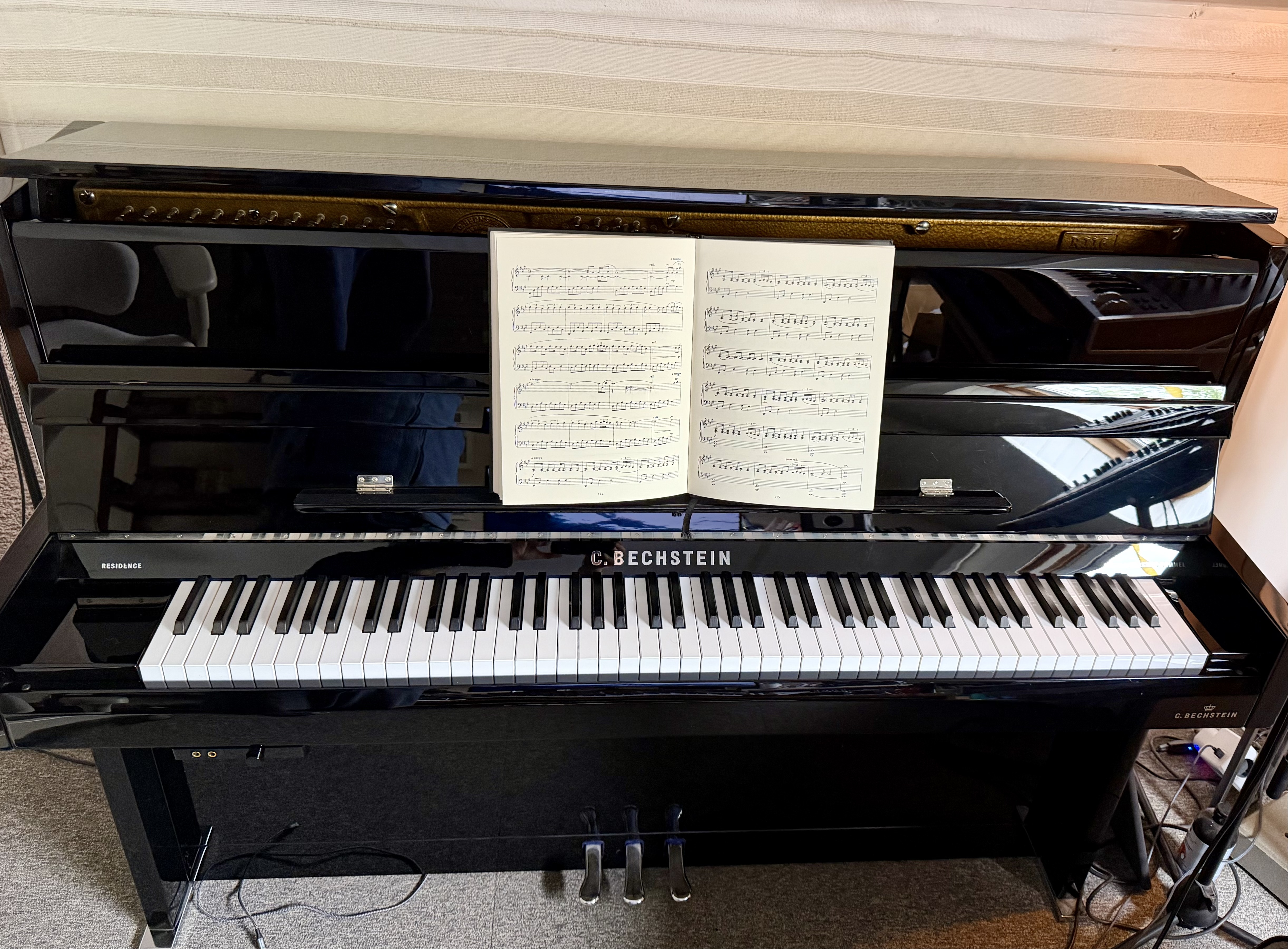 Bechstein Millenium 116 (99023)