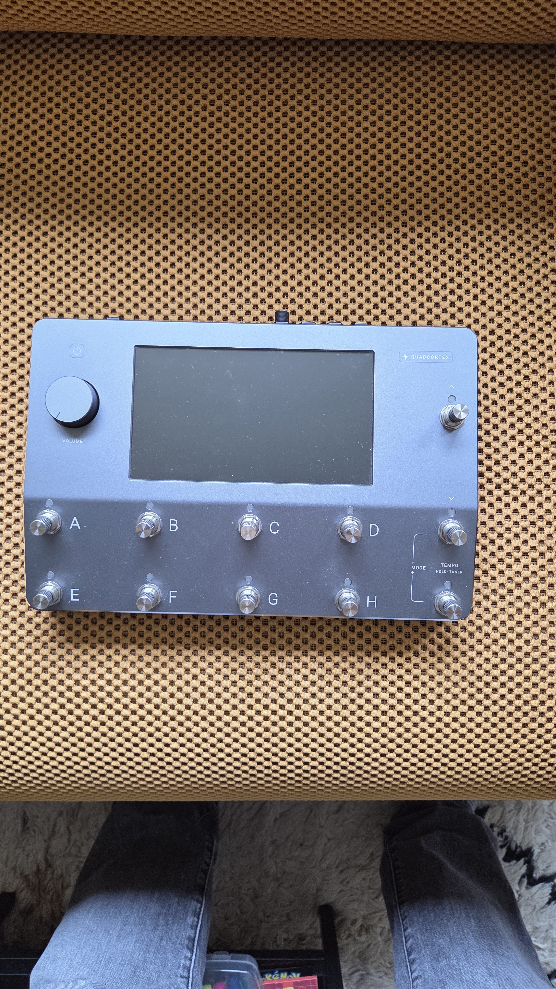 Vds quad cortex neural