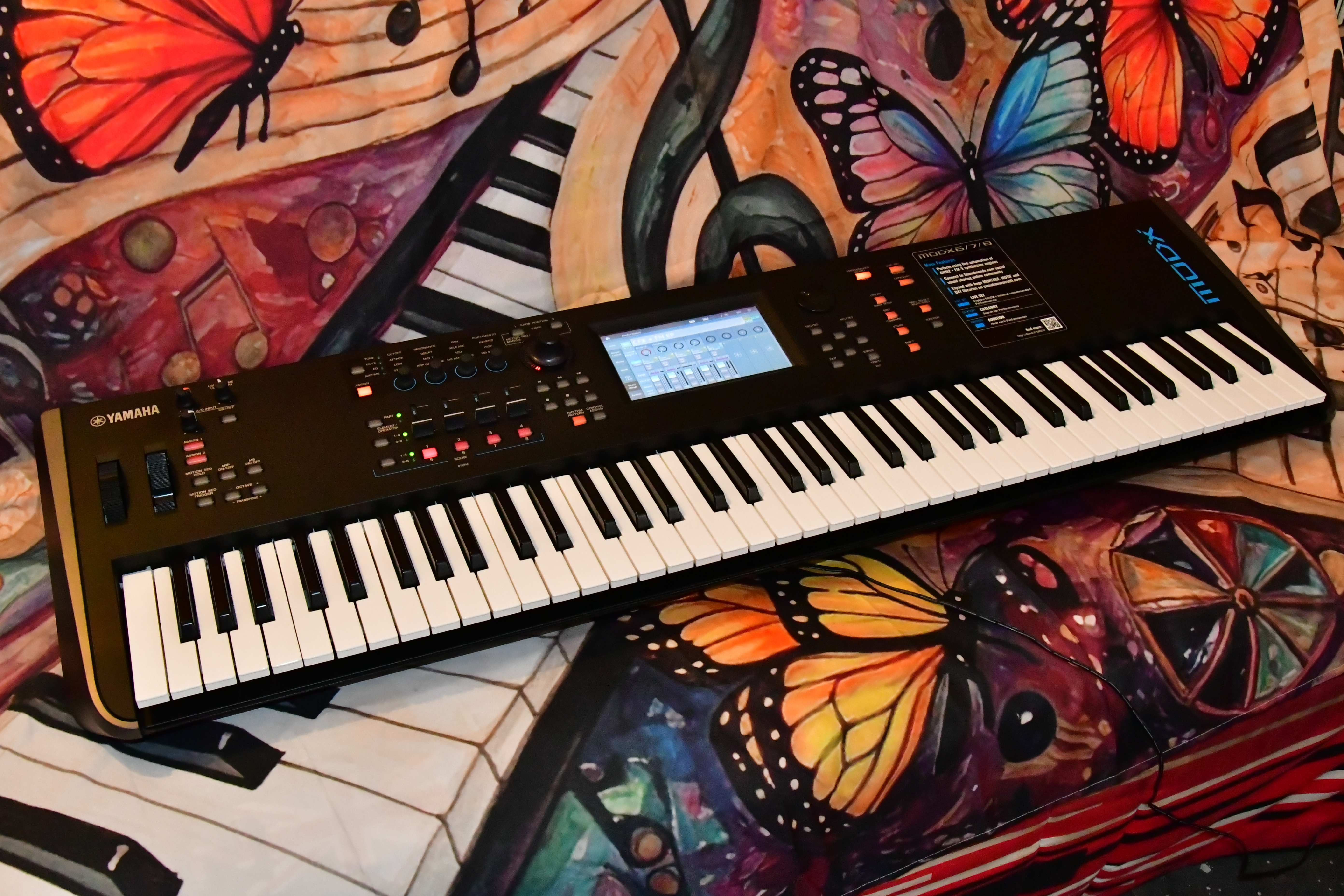 DSC 1353
