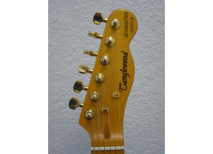 Tanglewood Quomaster status 30 (95280)