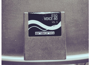 Ensoniq ESQ1 (20627)