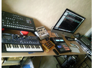 Mutable Instruments Anushri (24725)