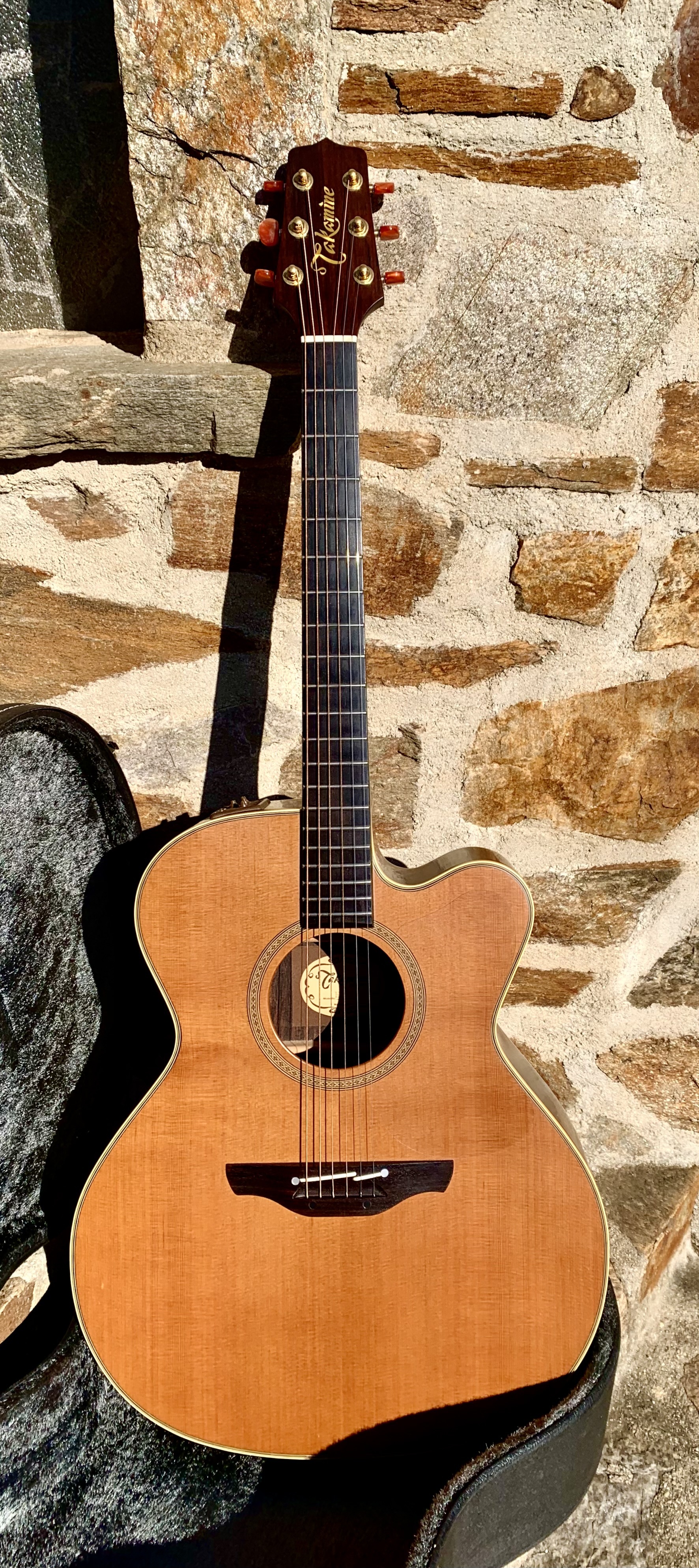 Takamine EN 25c 