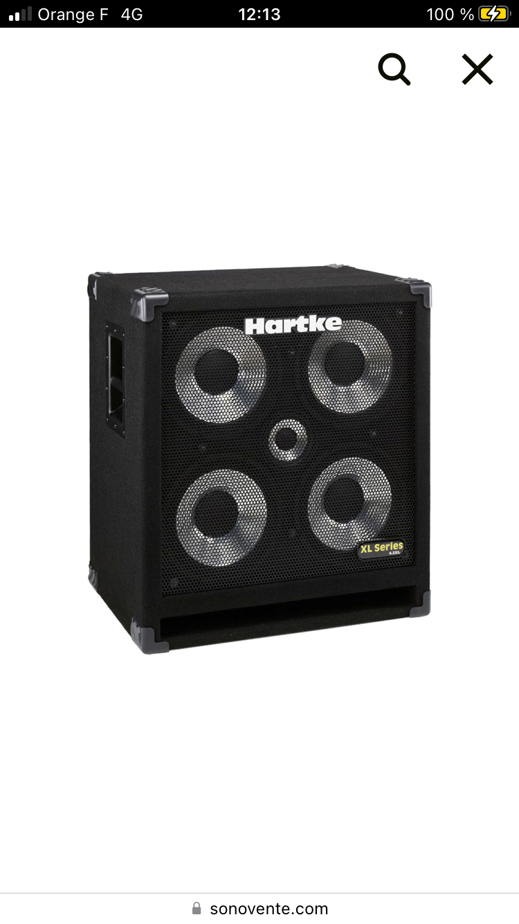 Vends Hartke 410 XL
