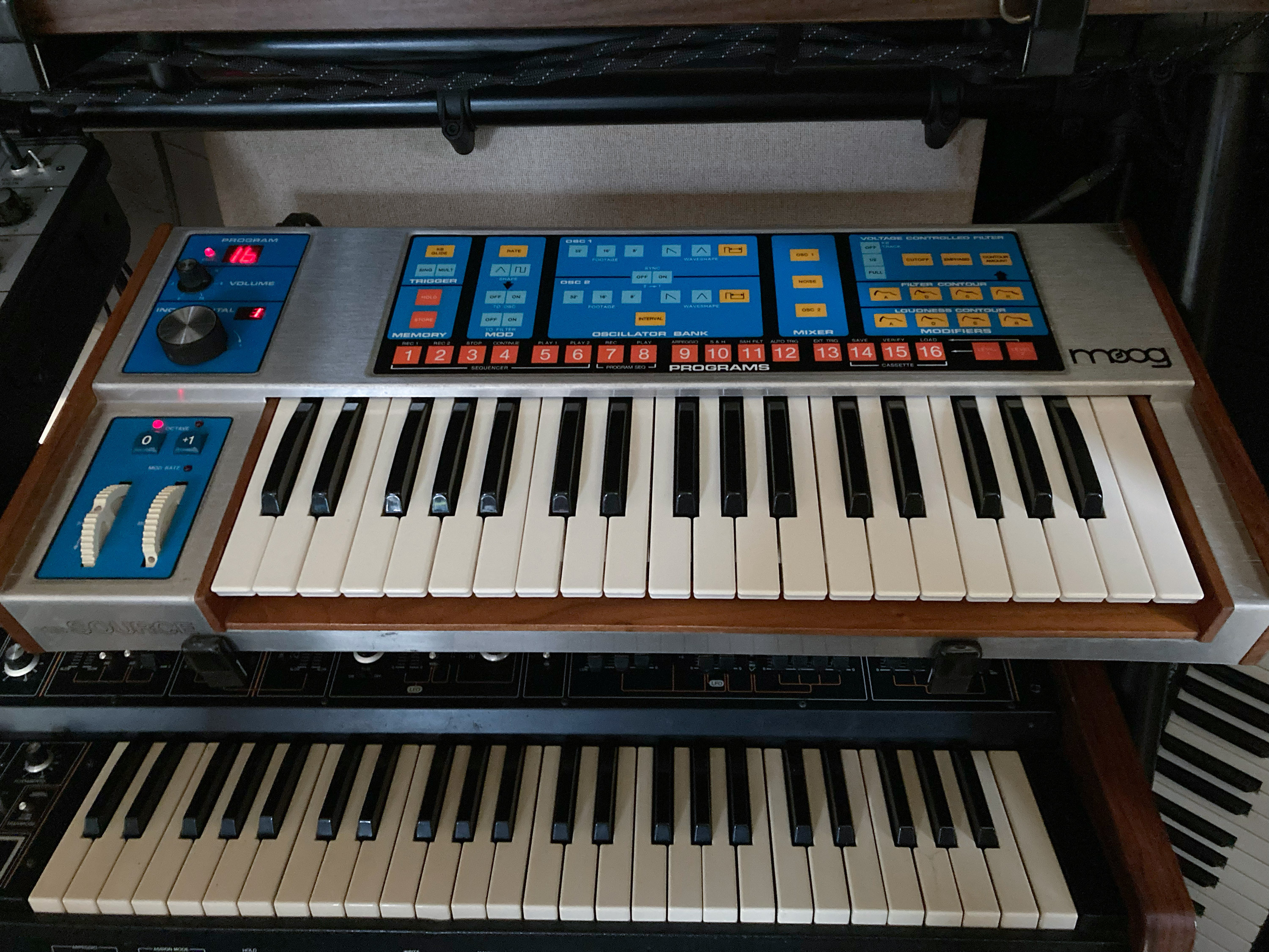 Moog Music The Source (84422)