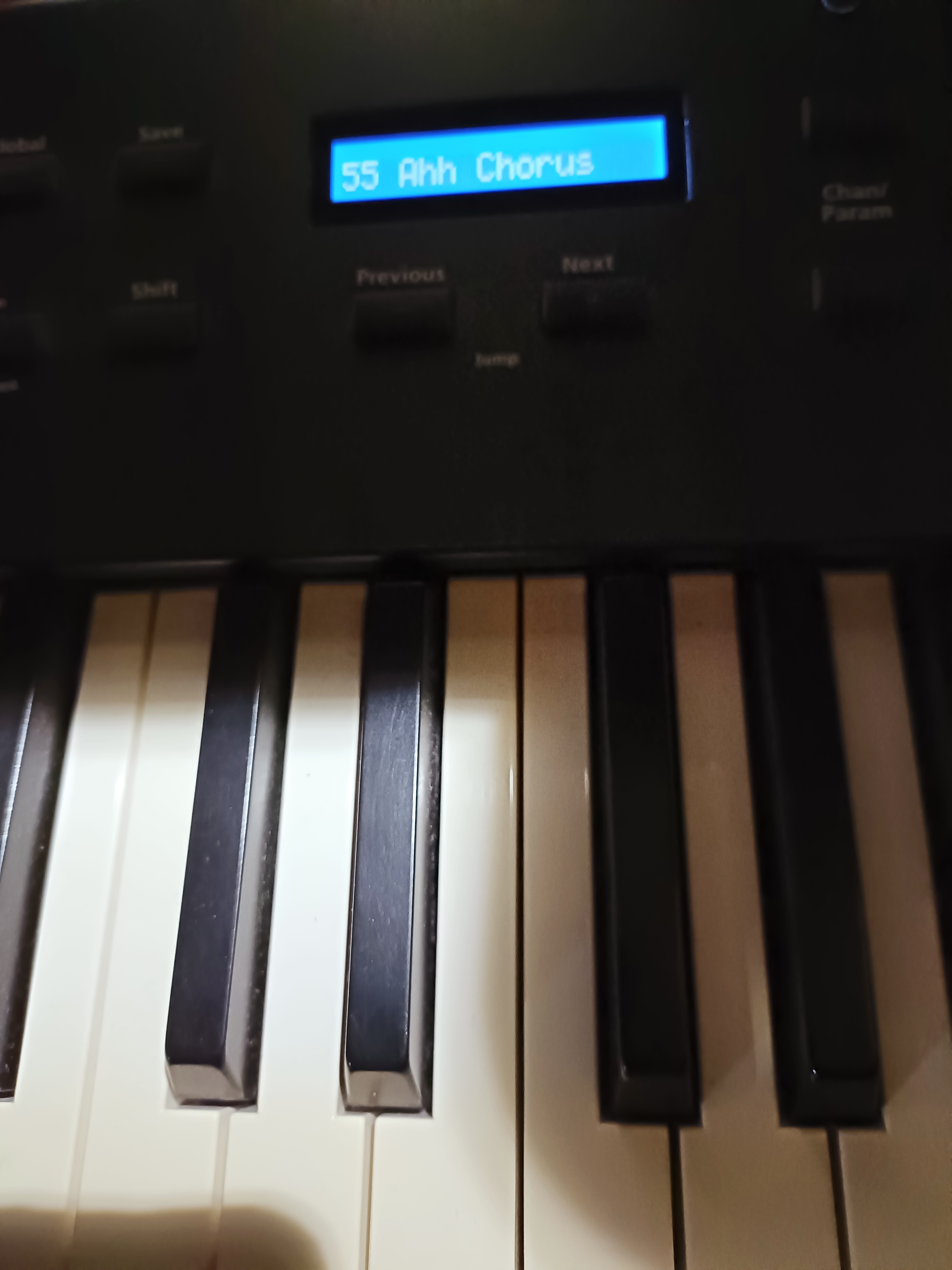 Kurzweil SP4-7 (69404)