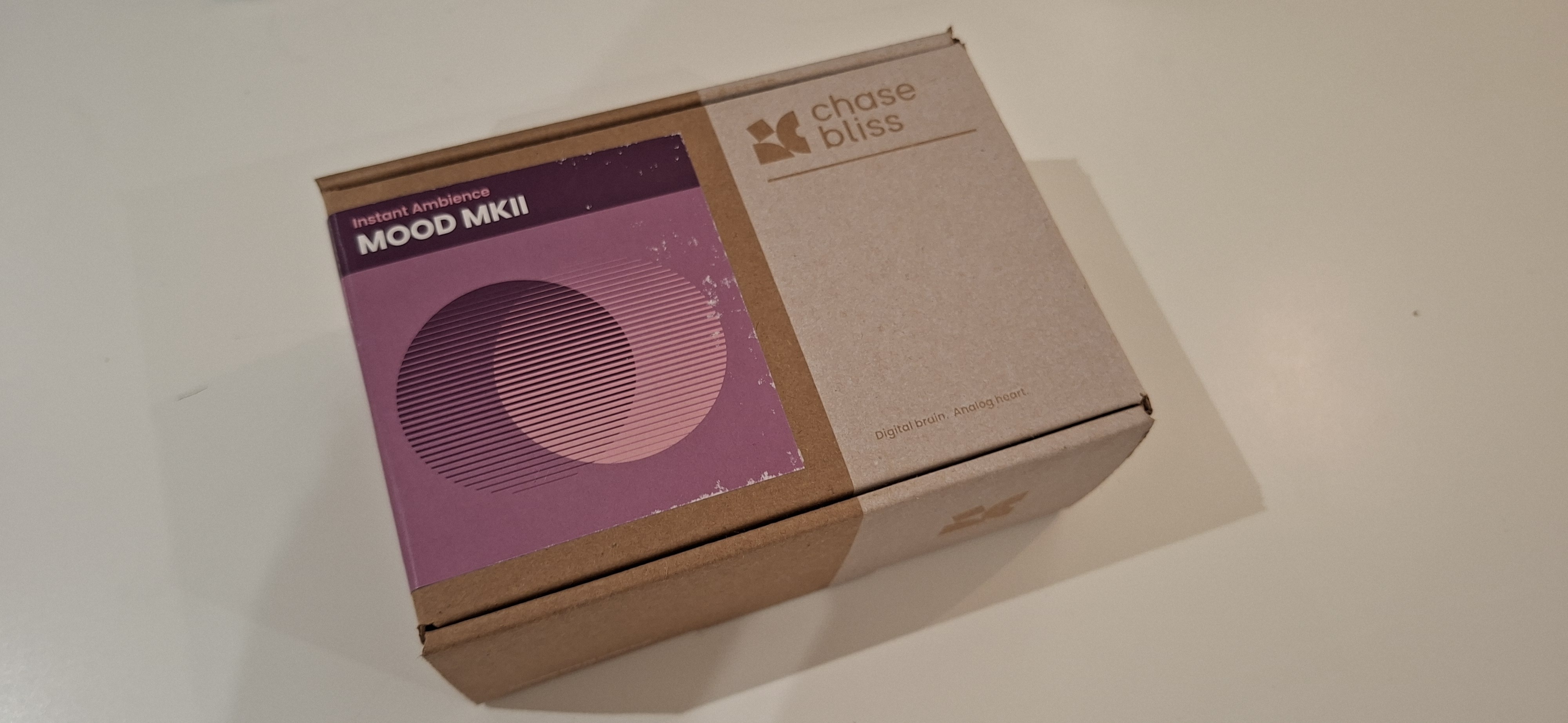 Chase Bliss Audio Mood MKII (72764)