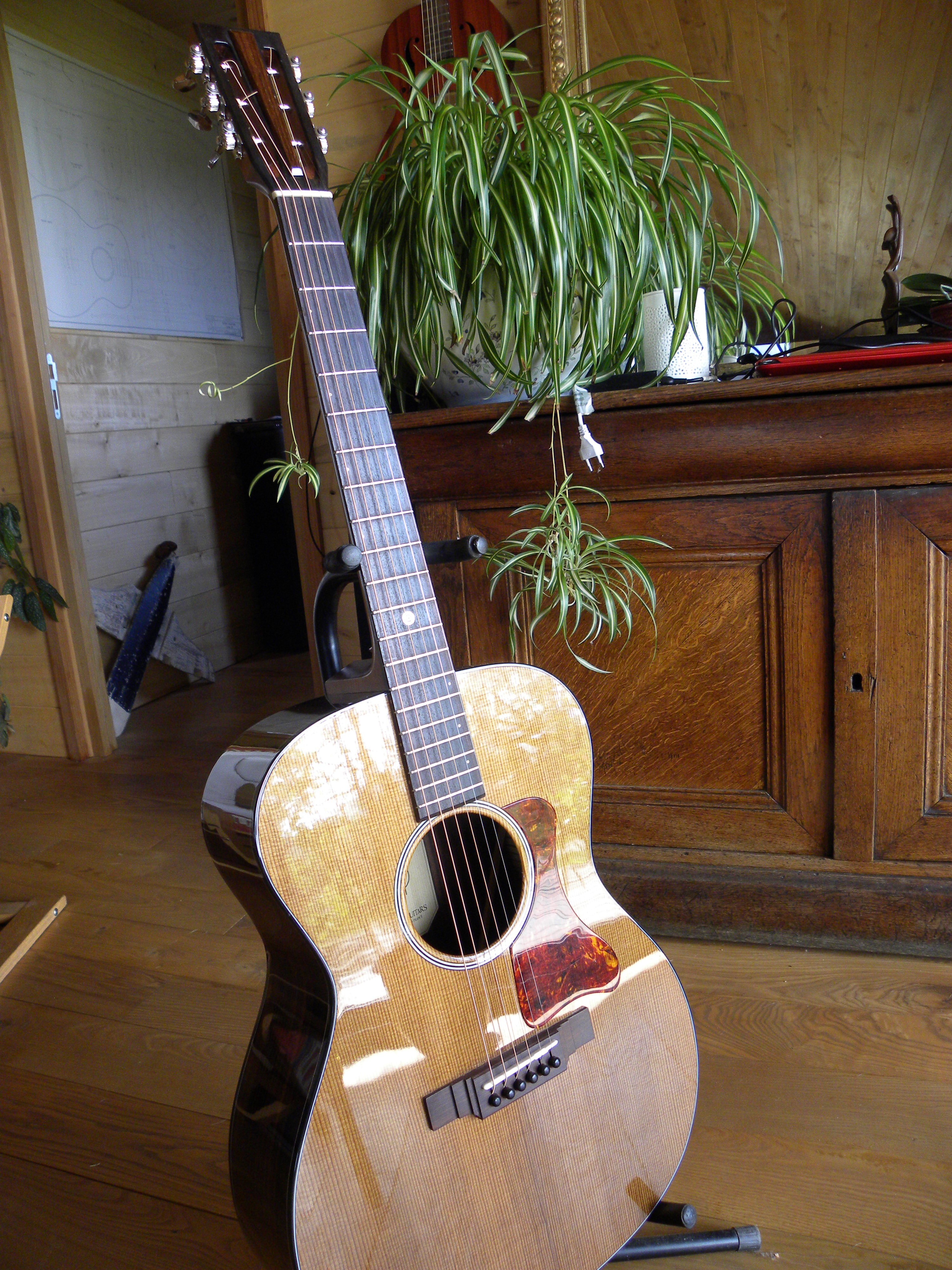 Blind guitars B30