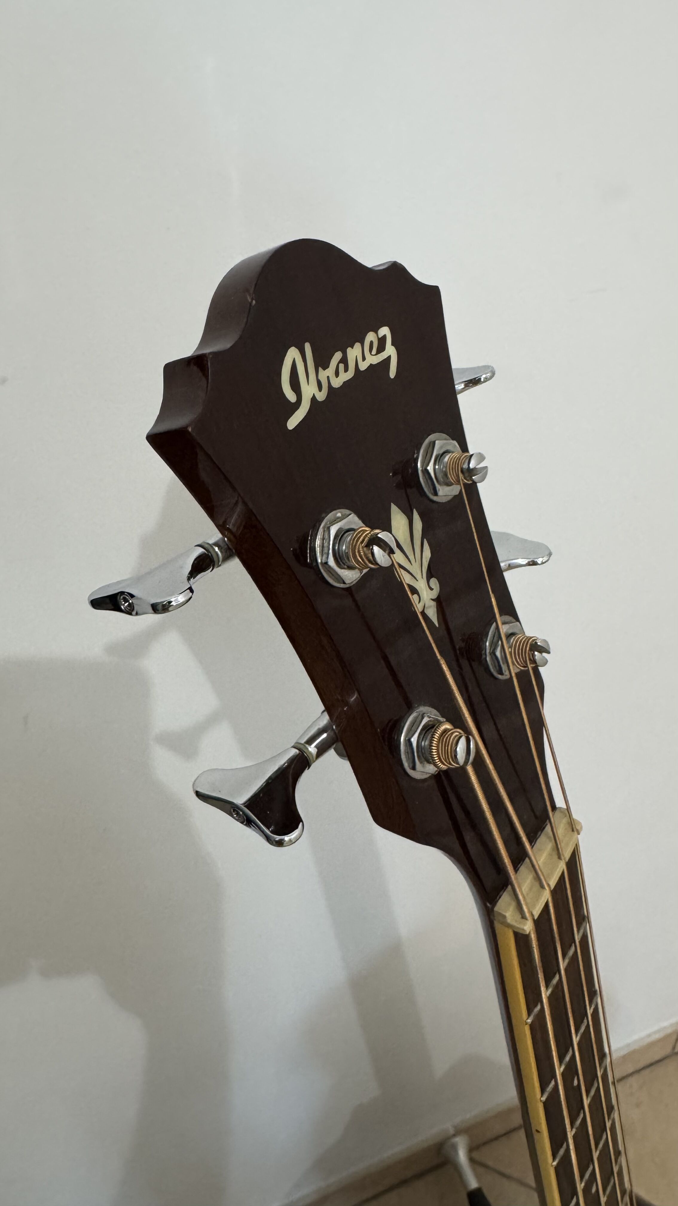 Ibanez AEB10E - Basse électroacoustique