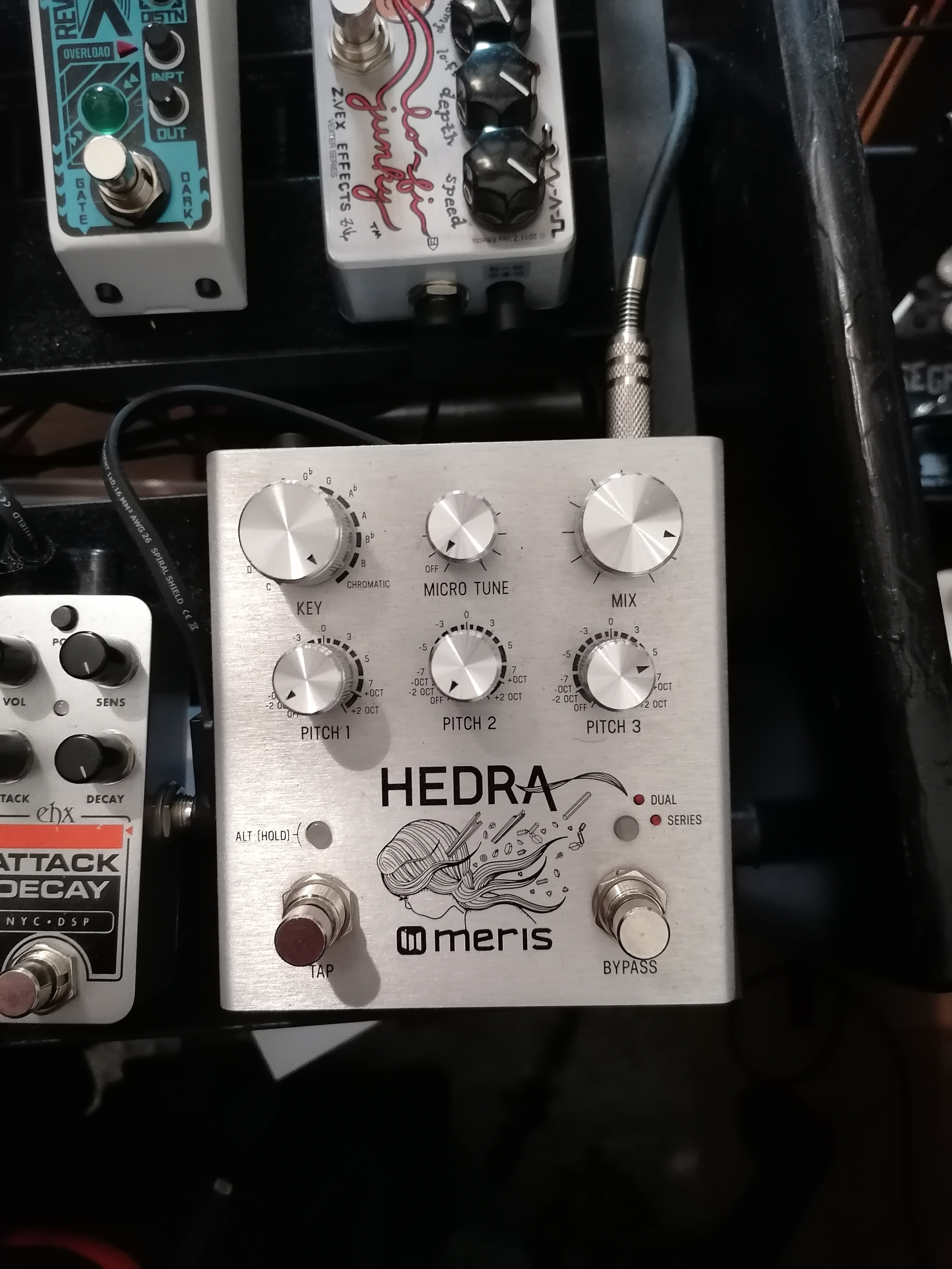 Vends MERIS Hedra