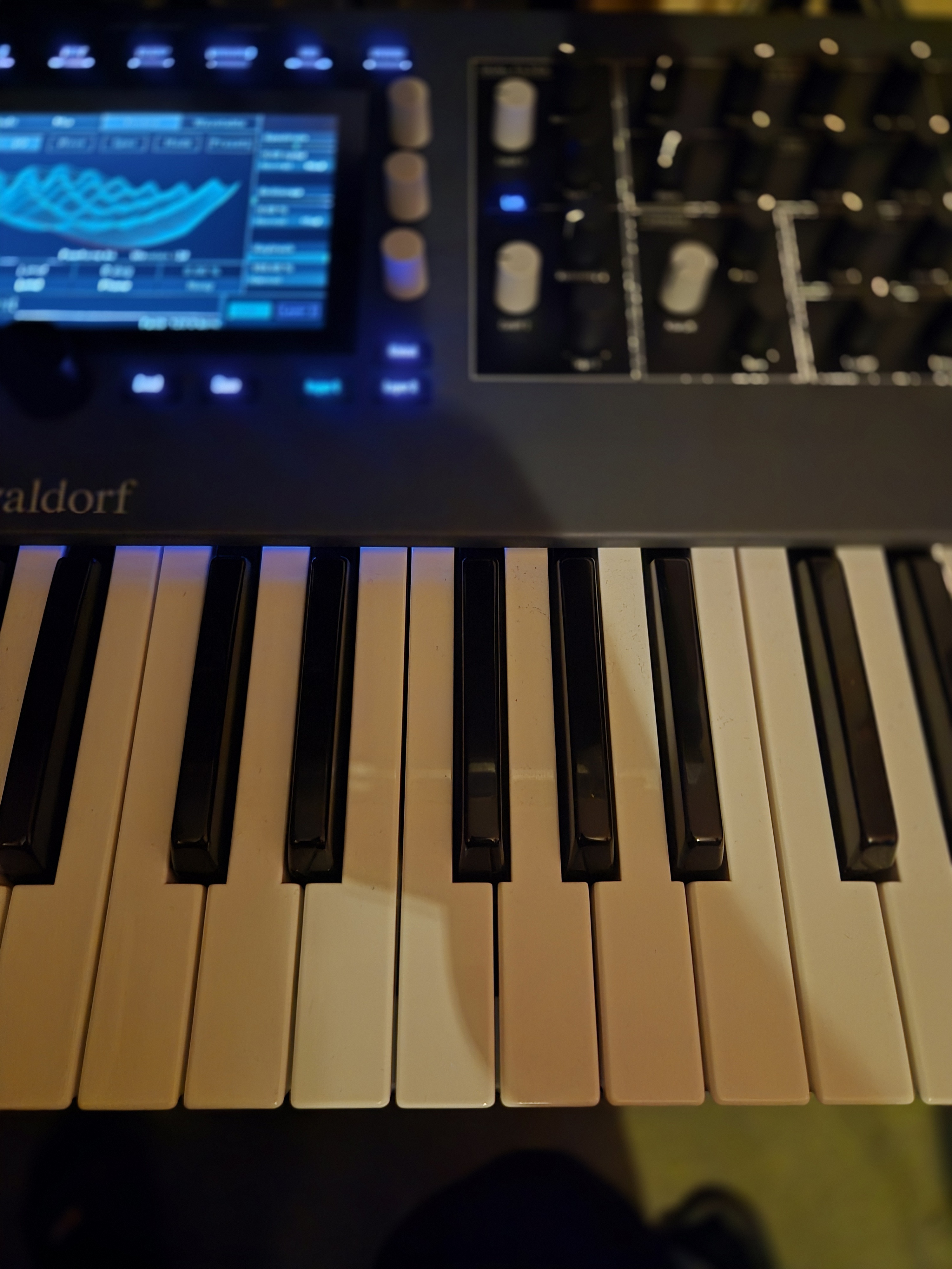 Waldorf Iridium Keyboard (66879)