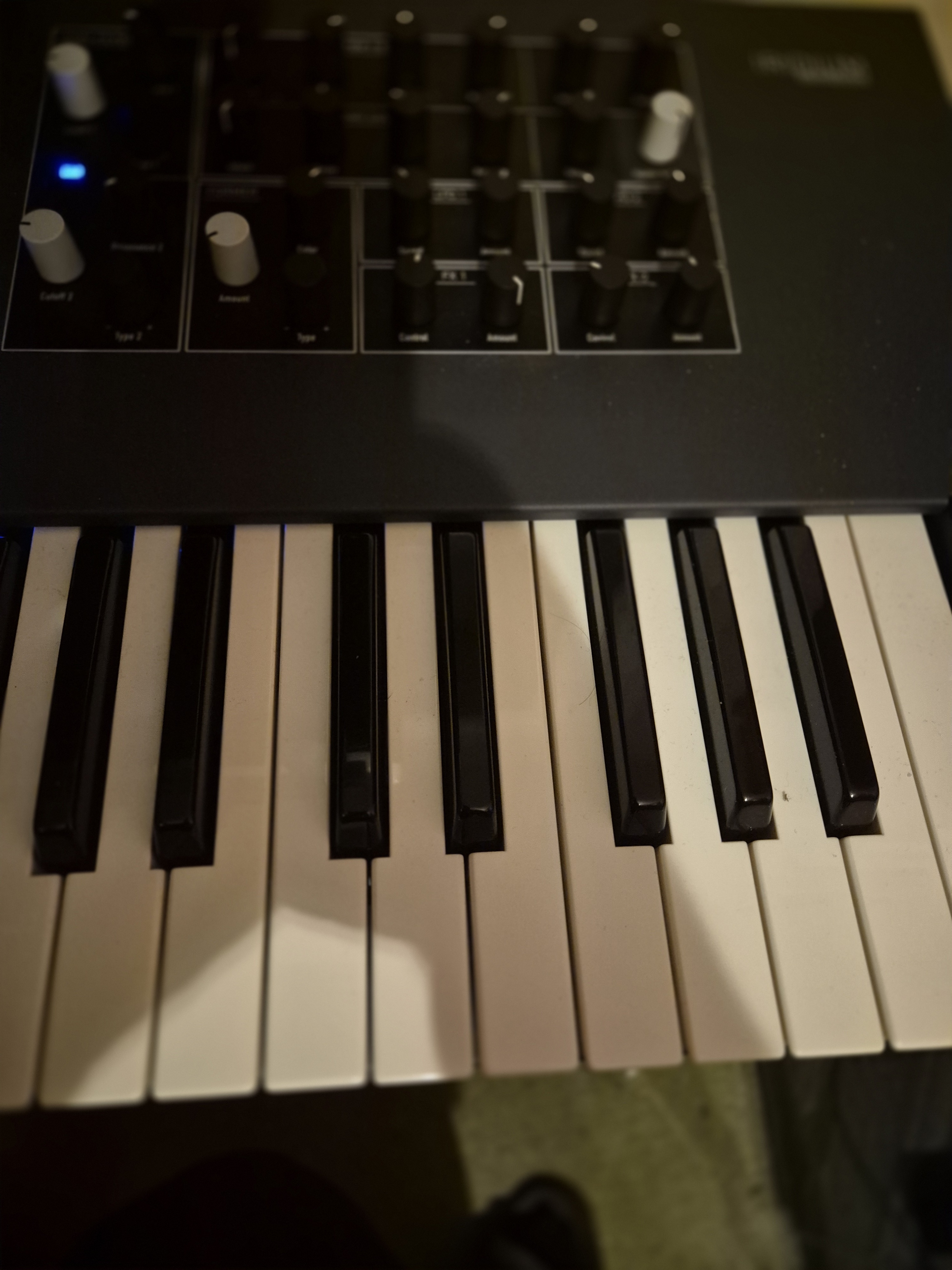 Waldorf Iridium Keyboard (13098)