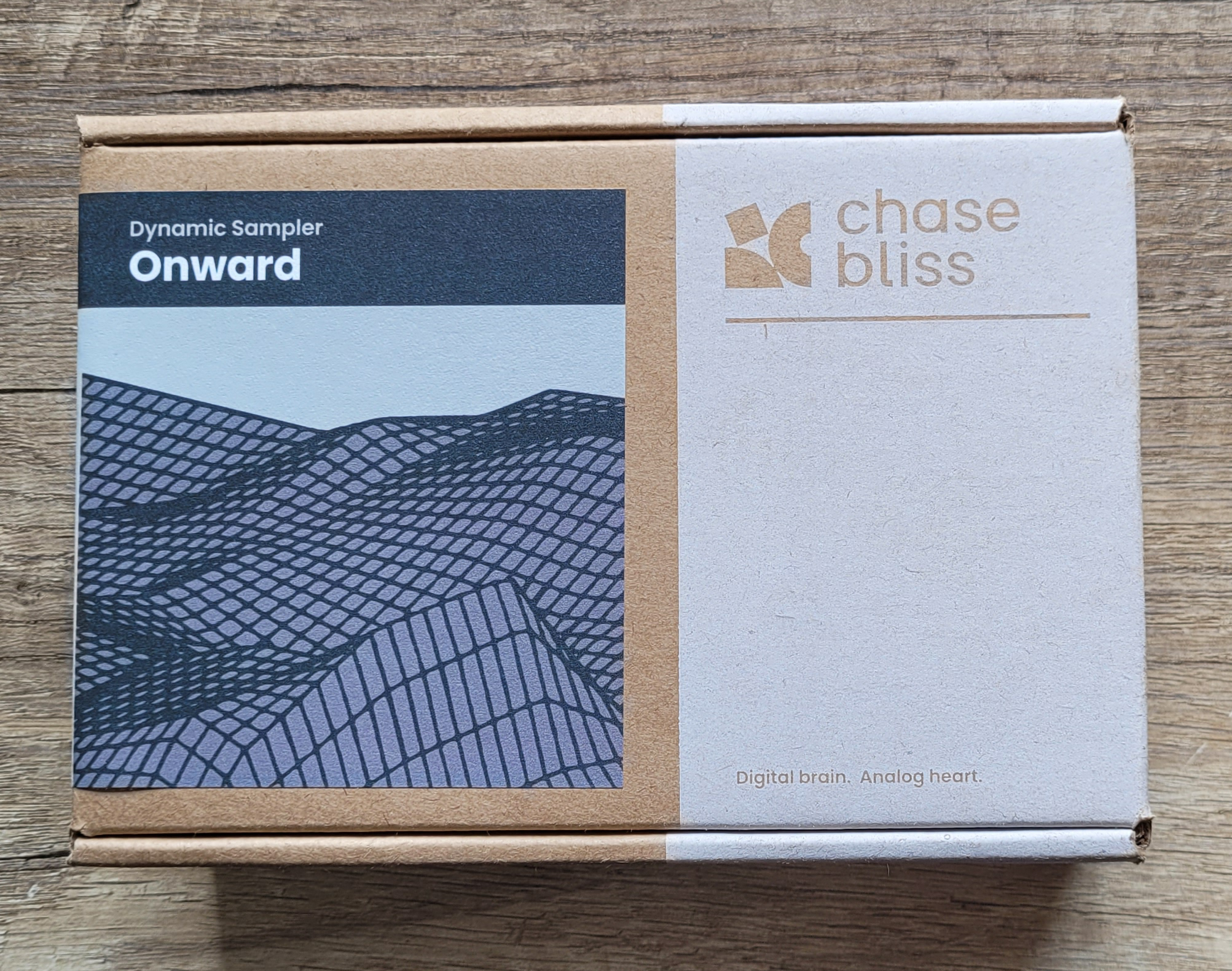 Chase Bliss Audio Onward Dynamic Sampler (2629)
