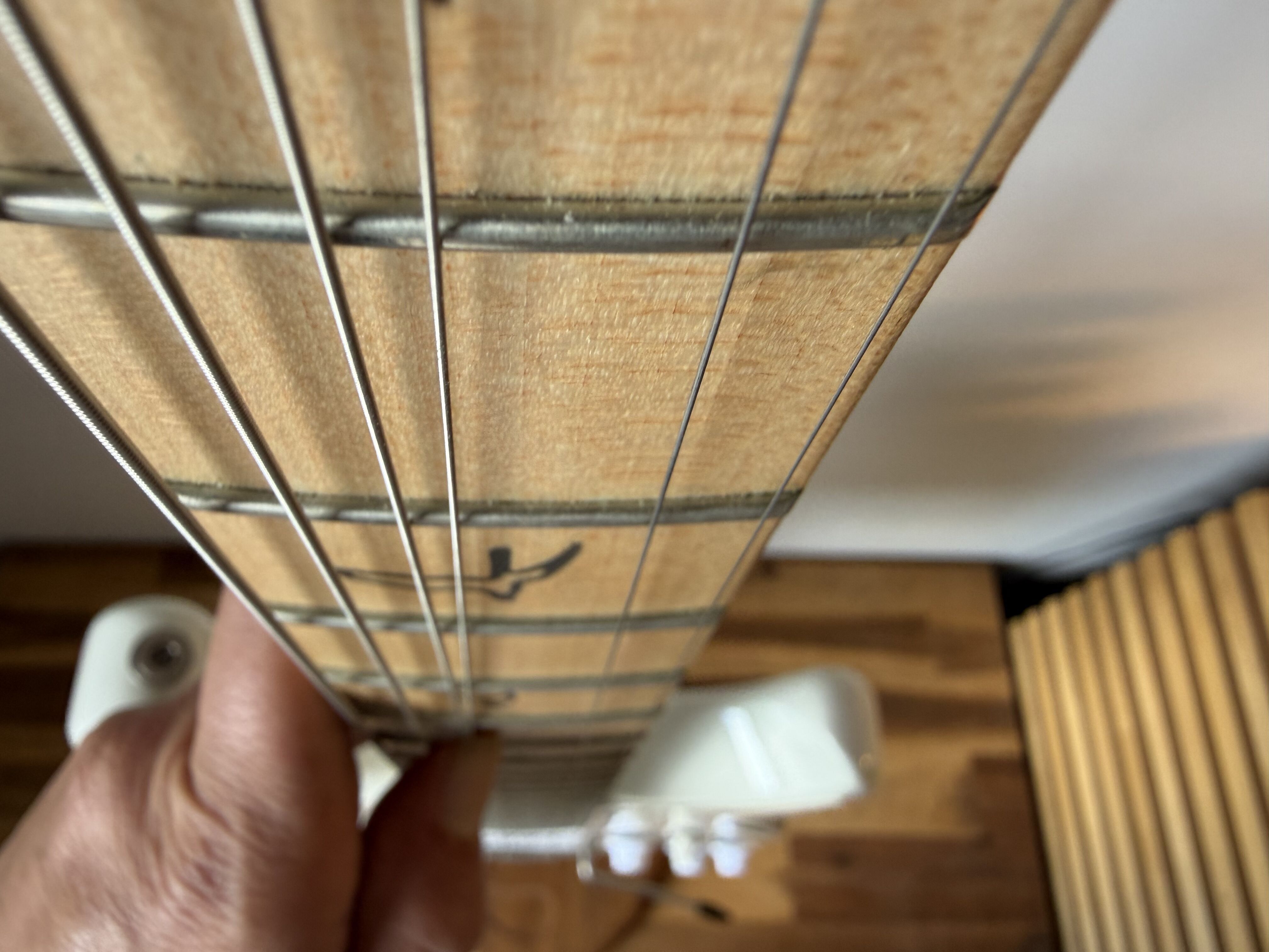 PRS Silver Sky Maple (25250)