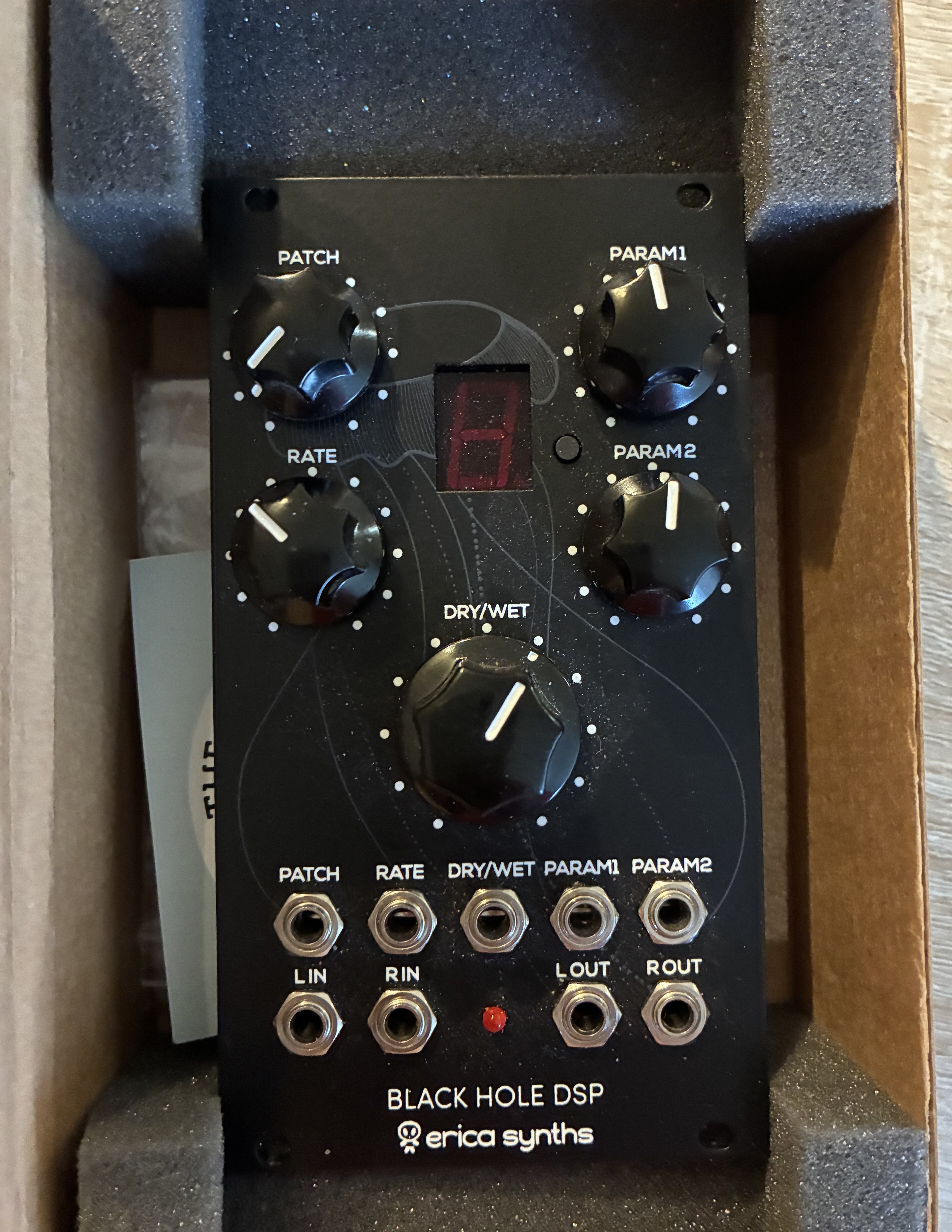 Erica Black Hole DSP + expansion ROM
