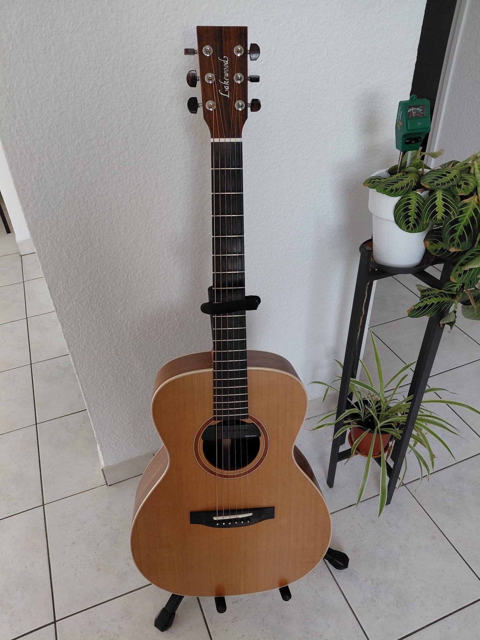 LAKEWOOD M14 + SEYMOUR DUNCAN MAG MIC 