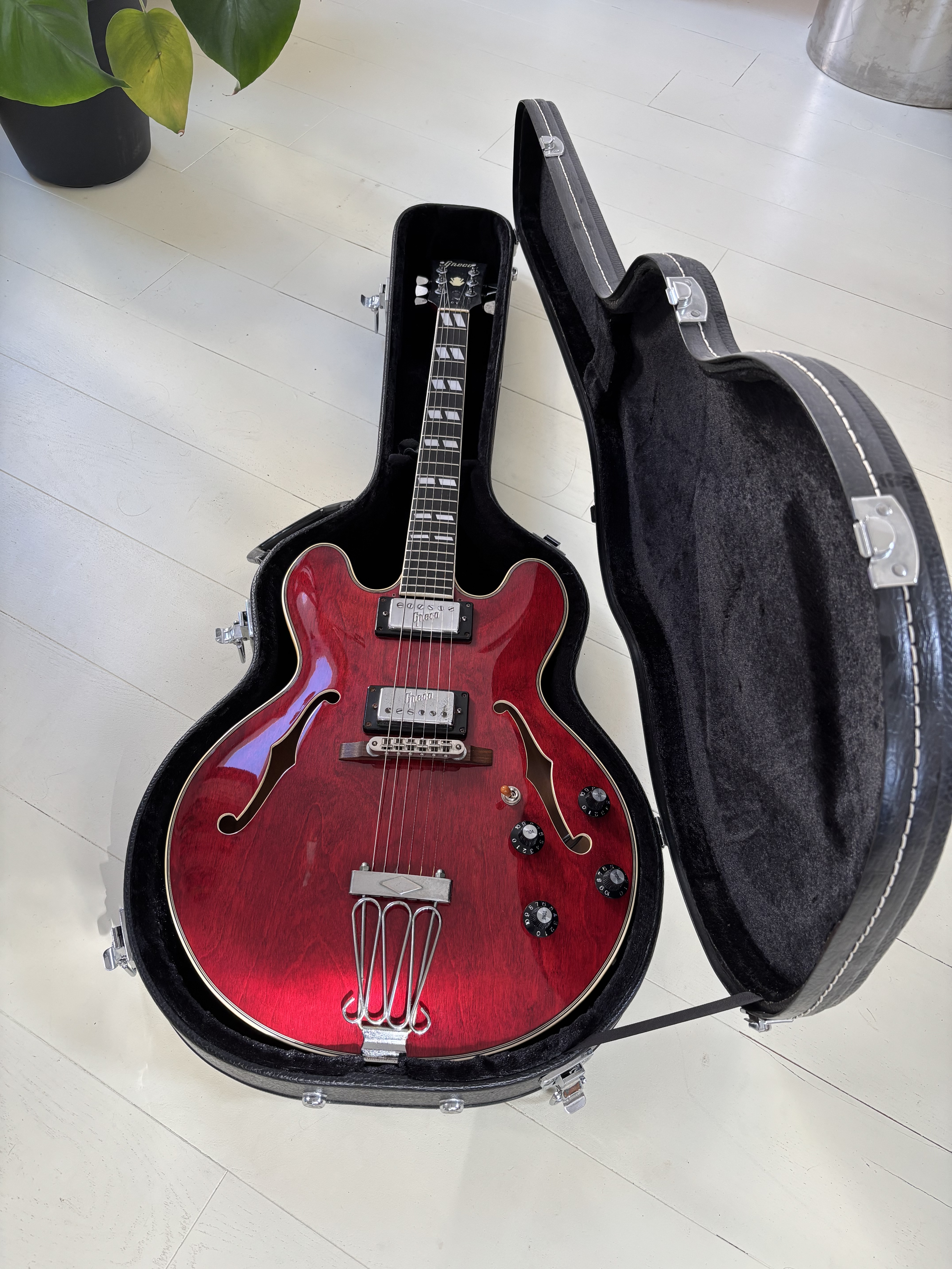 Vends Greco sa 550