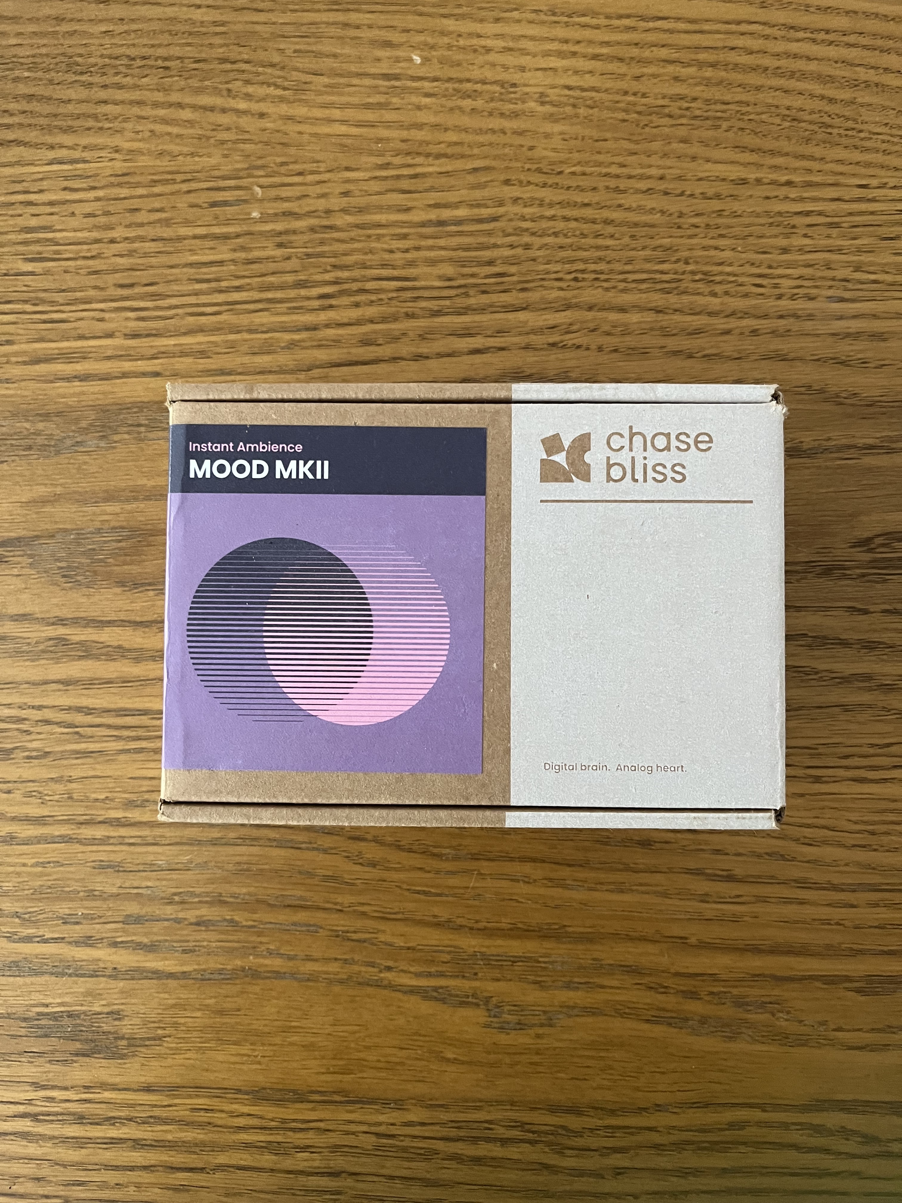 Chase Bliss Audio Mood MKII (81739)