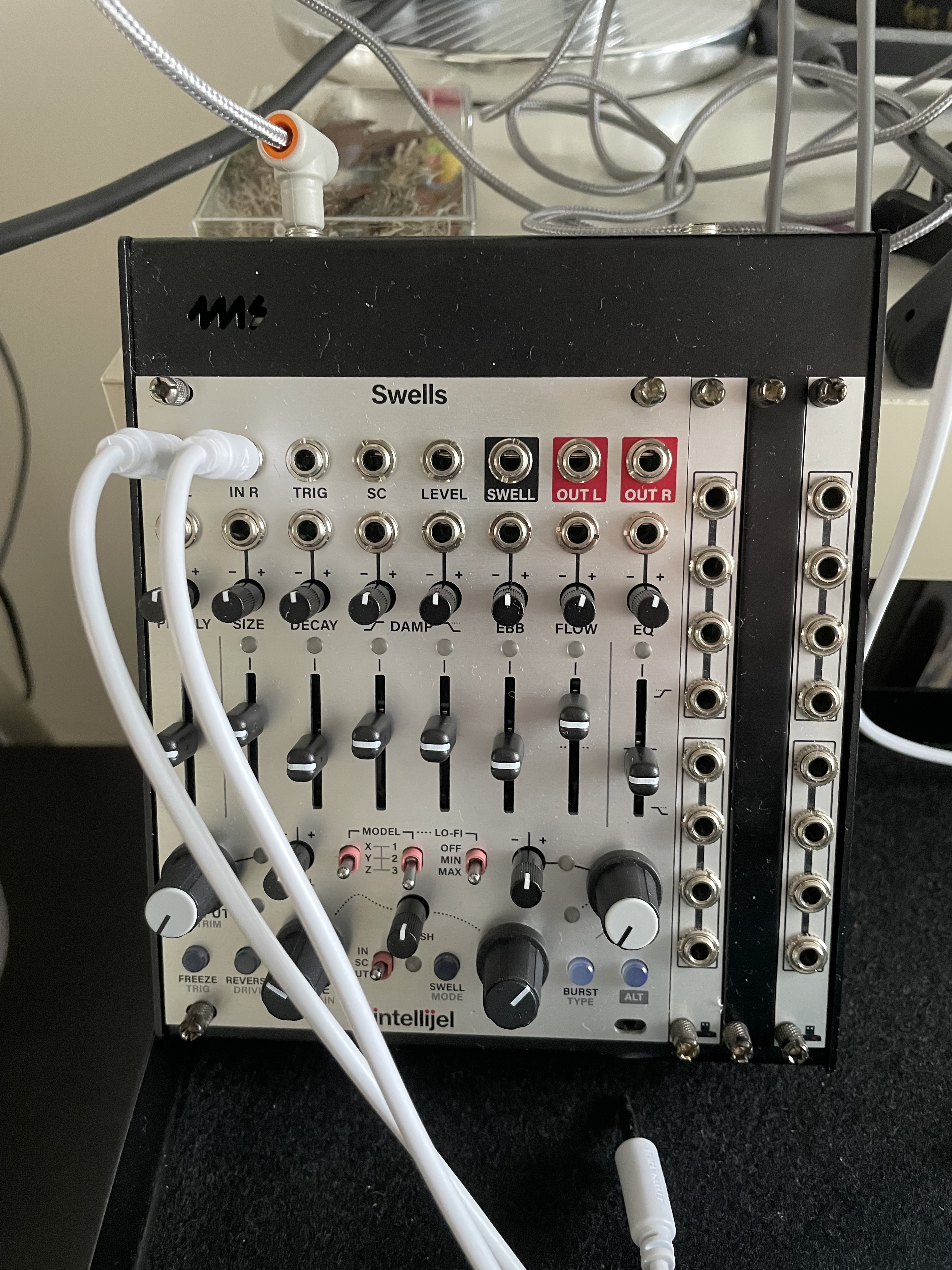 Intellijel Swells