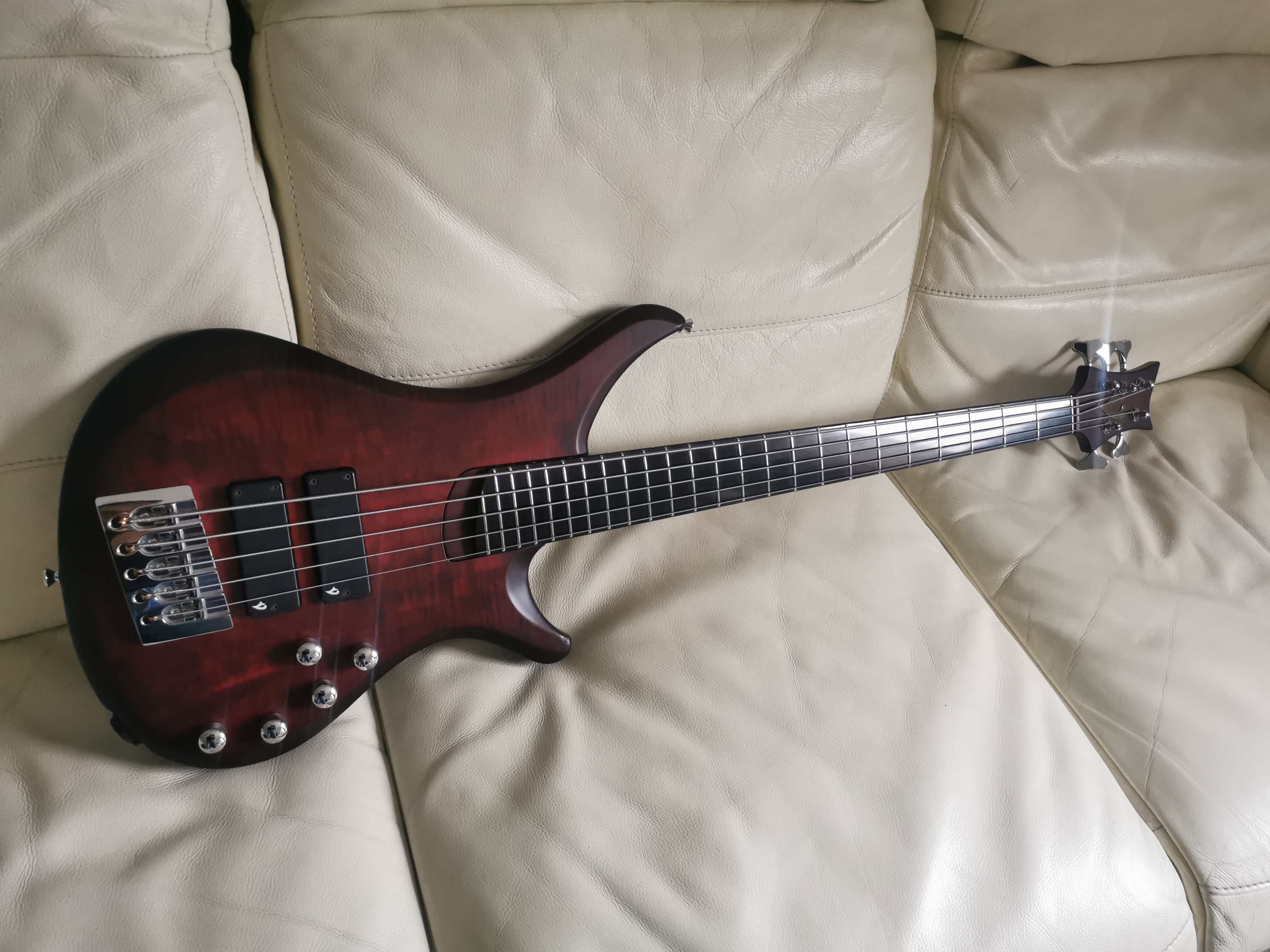 Vigier Passion IV 5 cordes