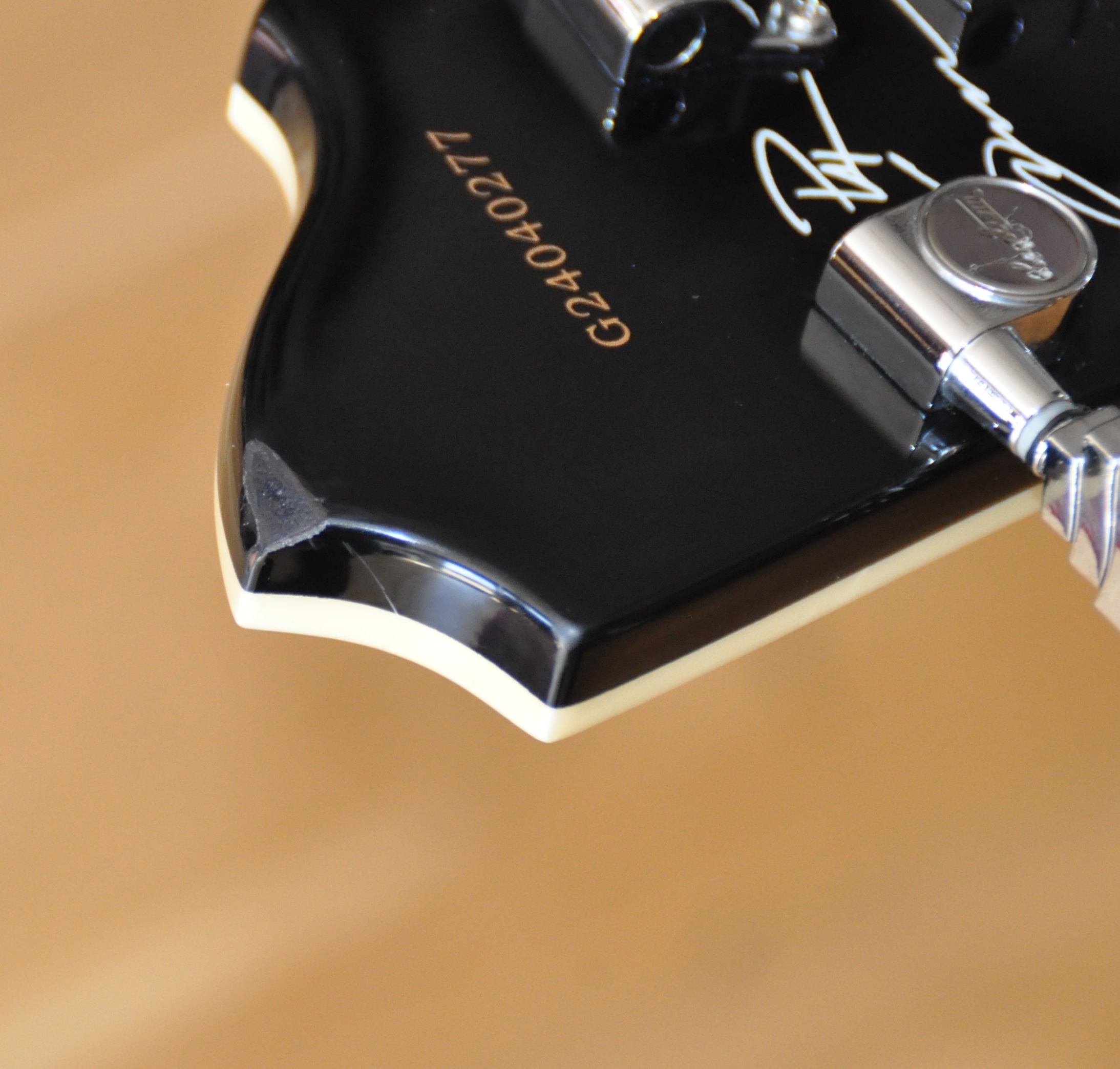 Hagstrom Pat Smear Signature (16674)