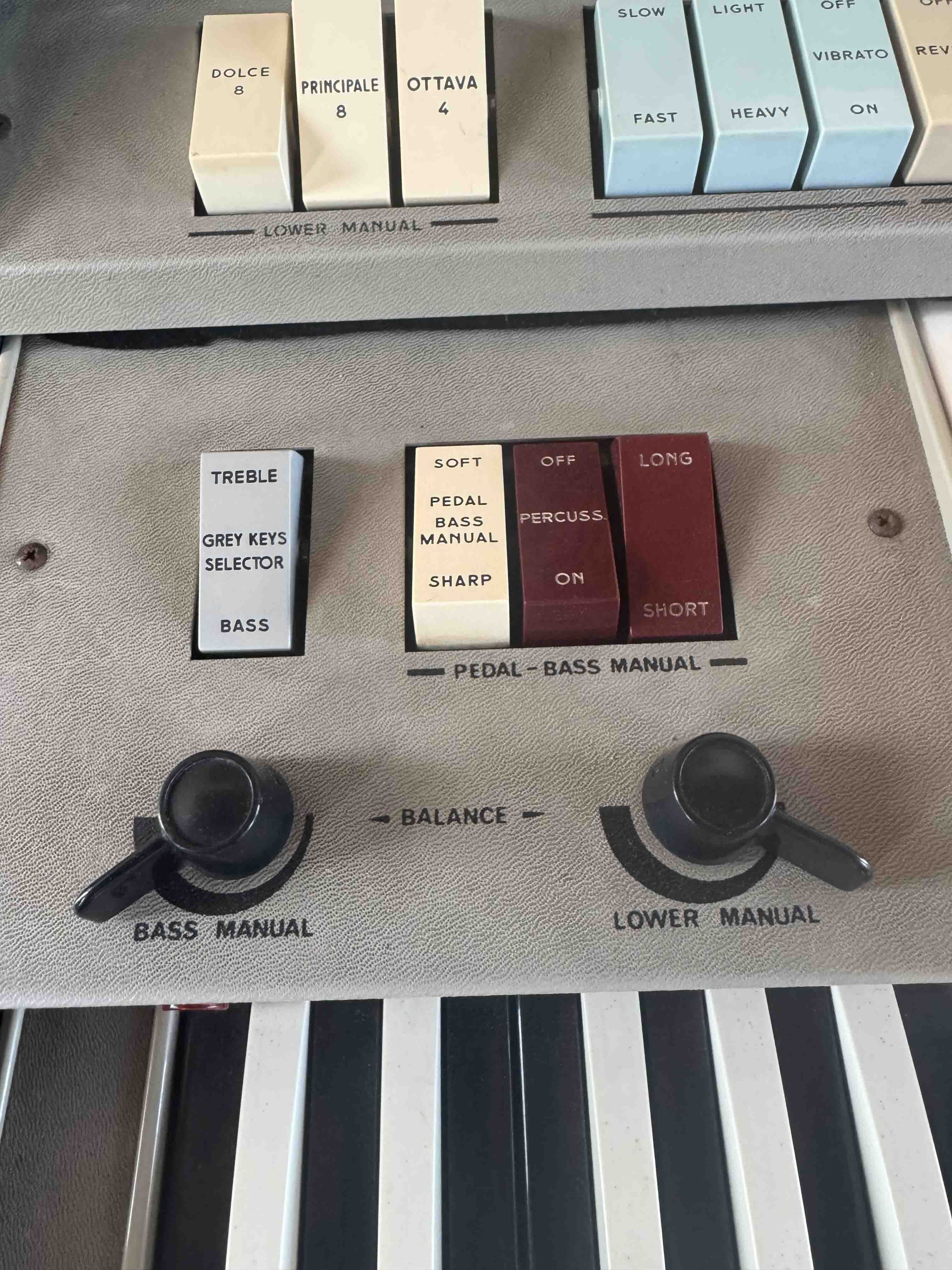 ORGAN 5