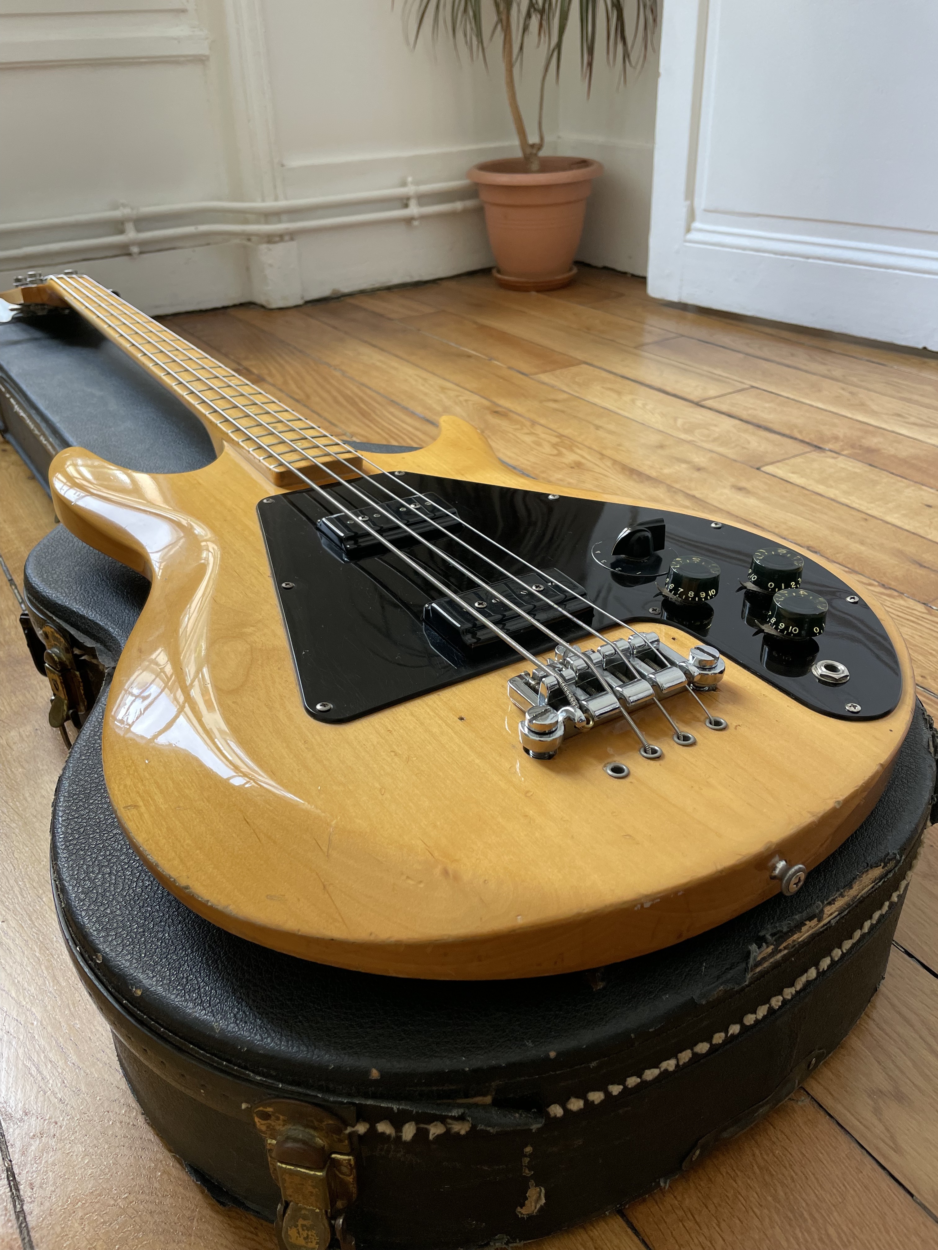 Gibson Ripper L9-S (24083)