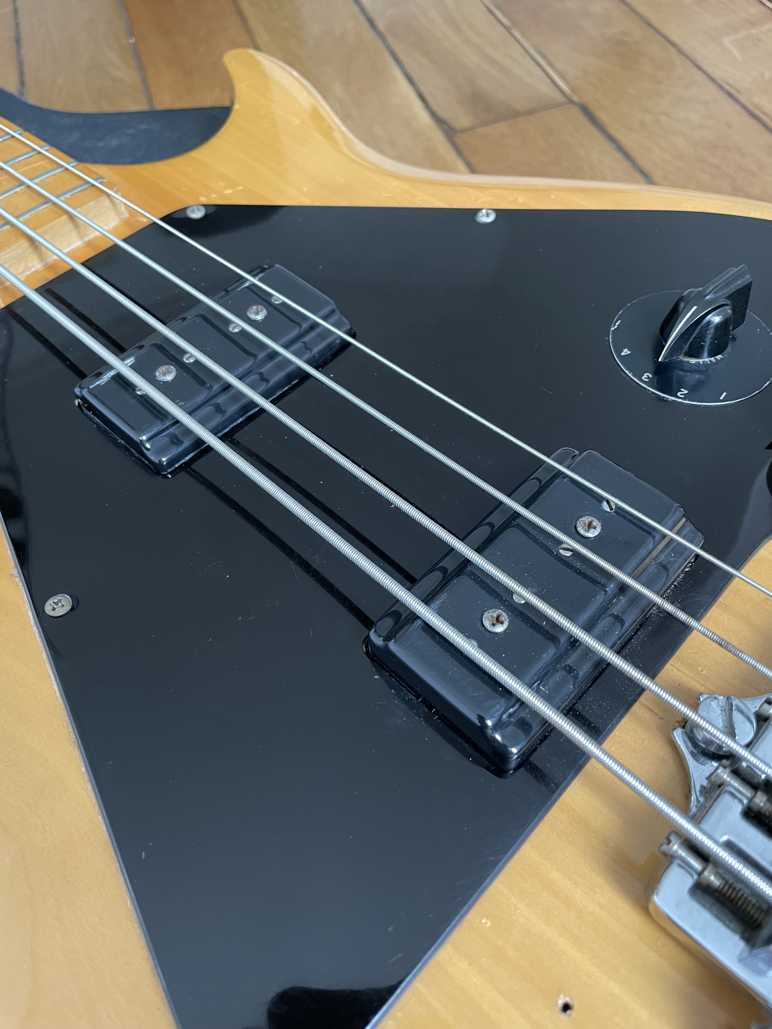 Gibson Ripper L9-S (19424)