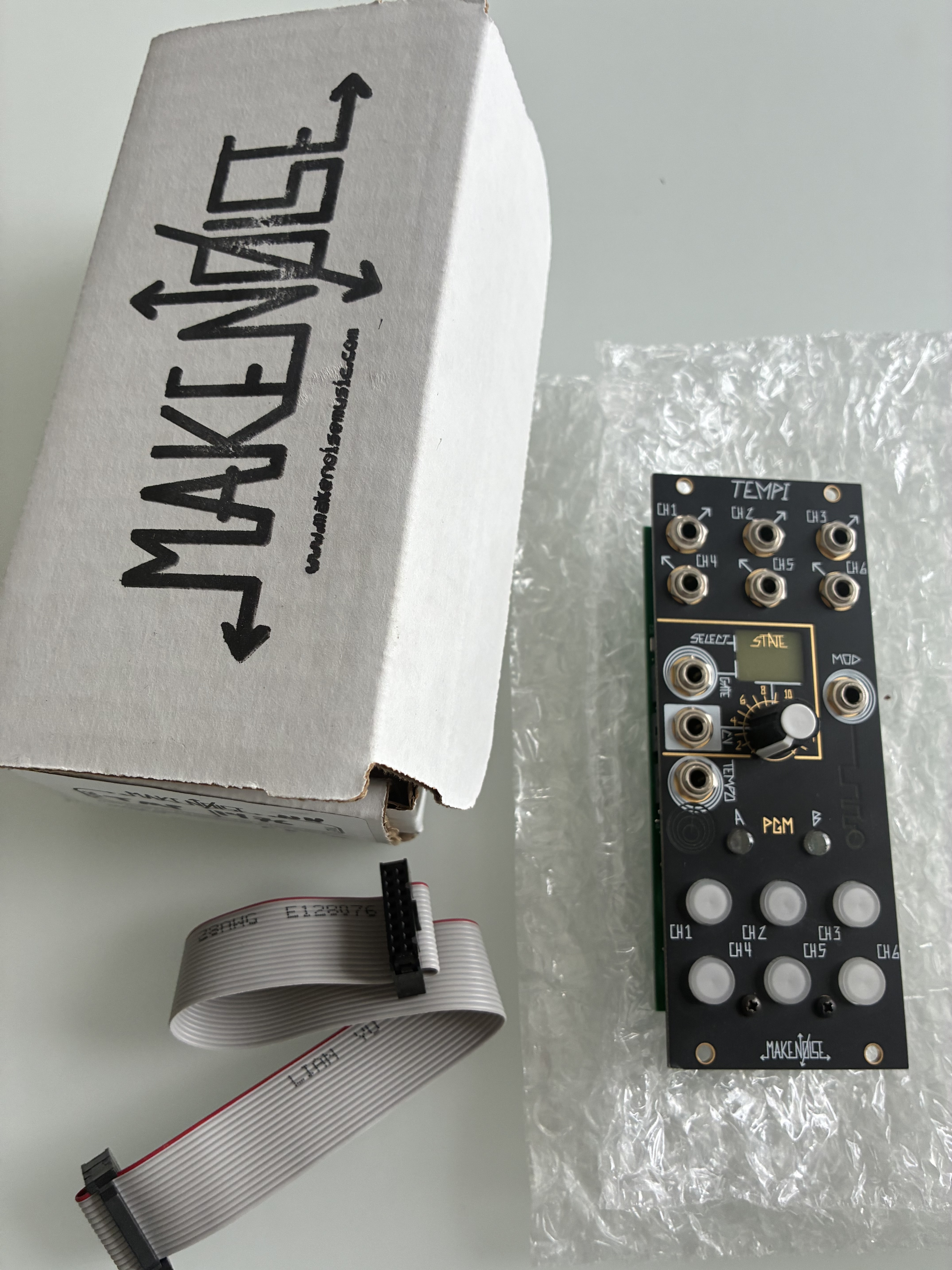 Make Noise Tempi