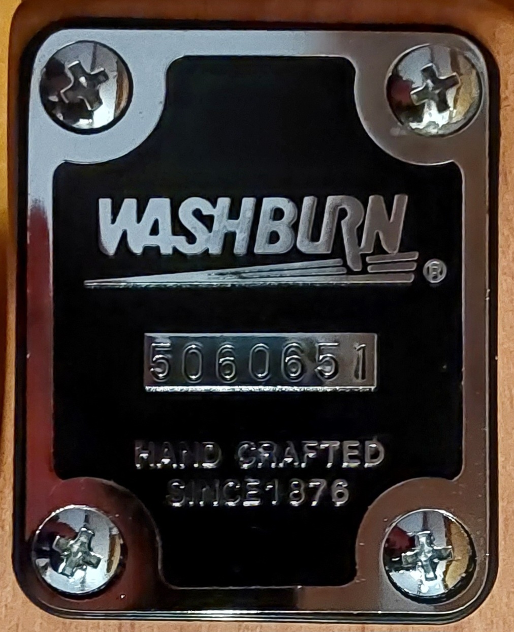 Washburn N2 (35453)