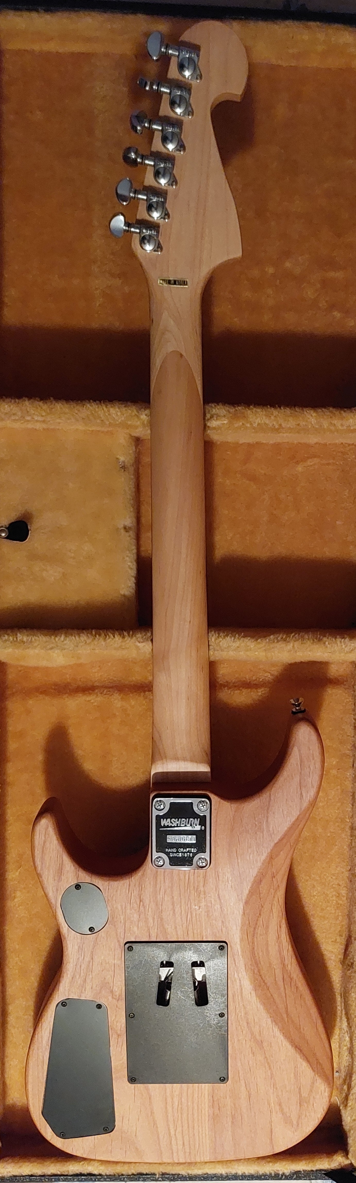 Washburn N2 (2016)