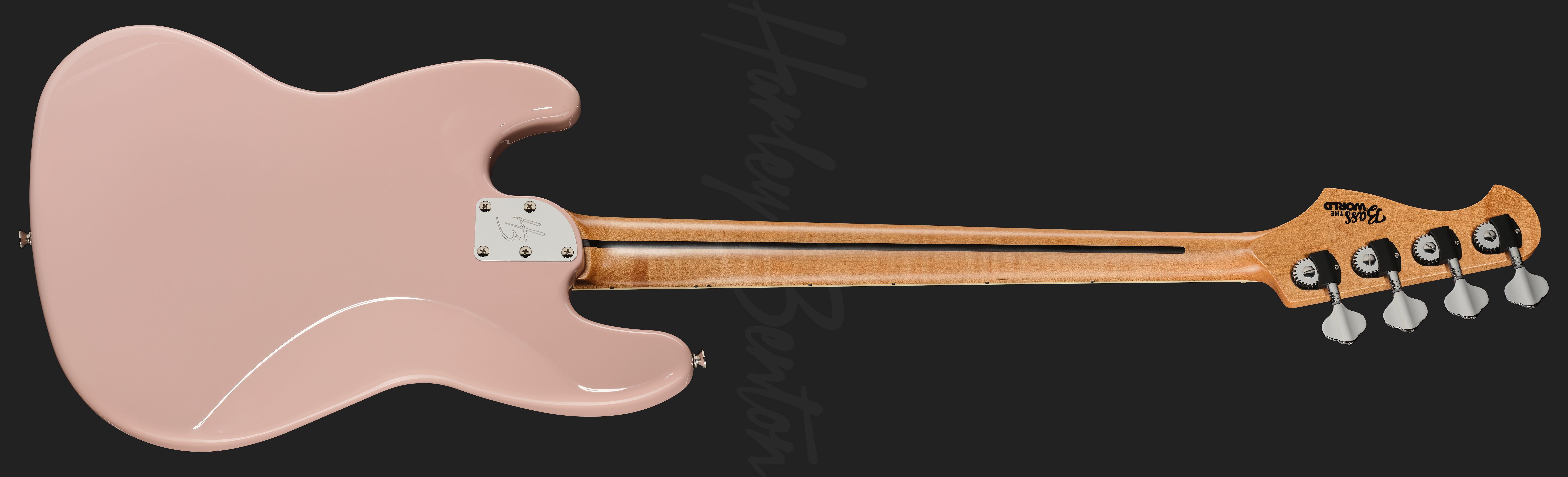 MV-4JB BassTheWorldREAR