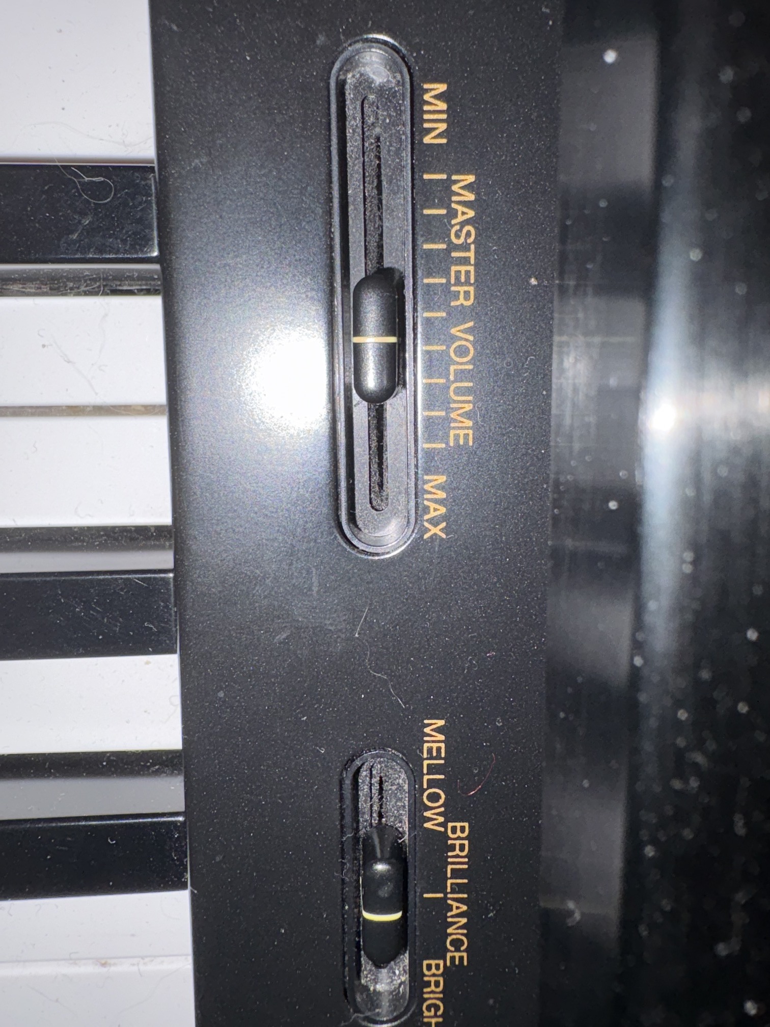 IMG 6496