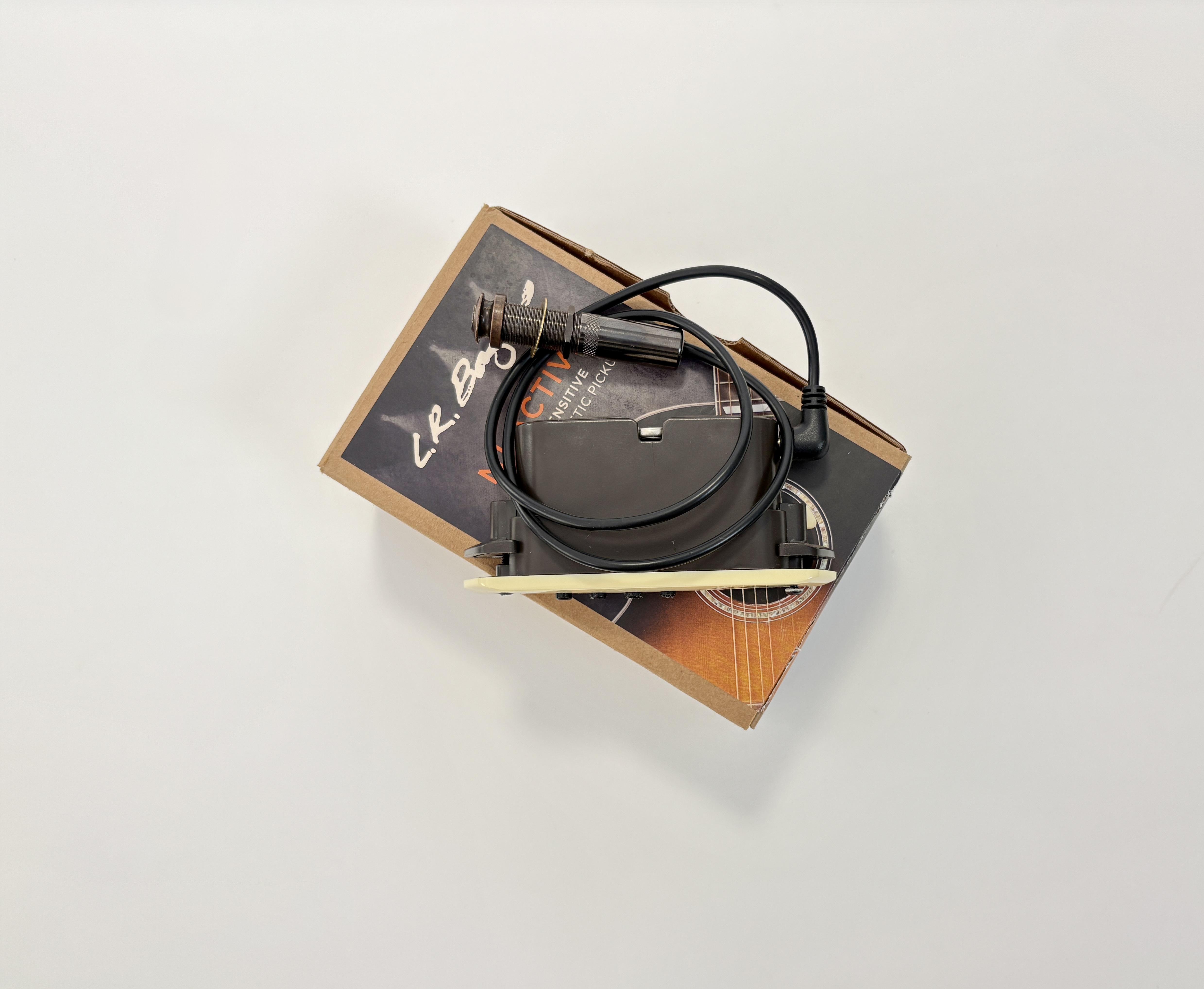 L.R. Baggs M1 Active  