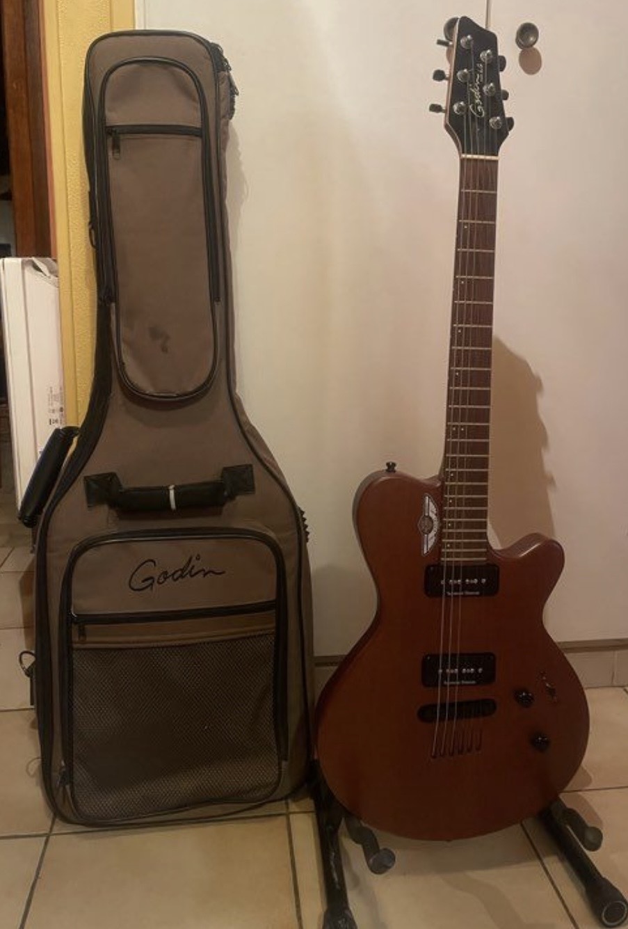 Guitare électrique Godin LG